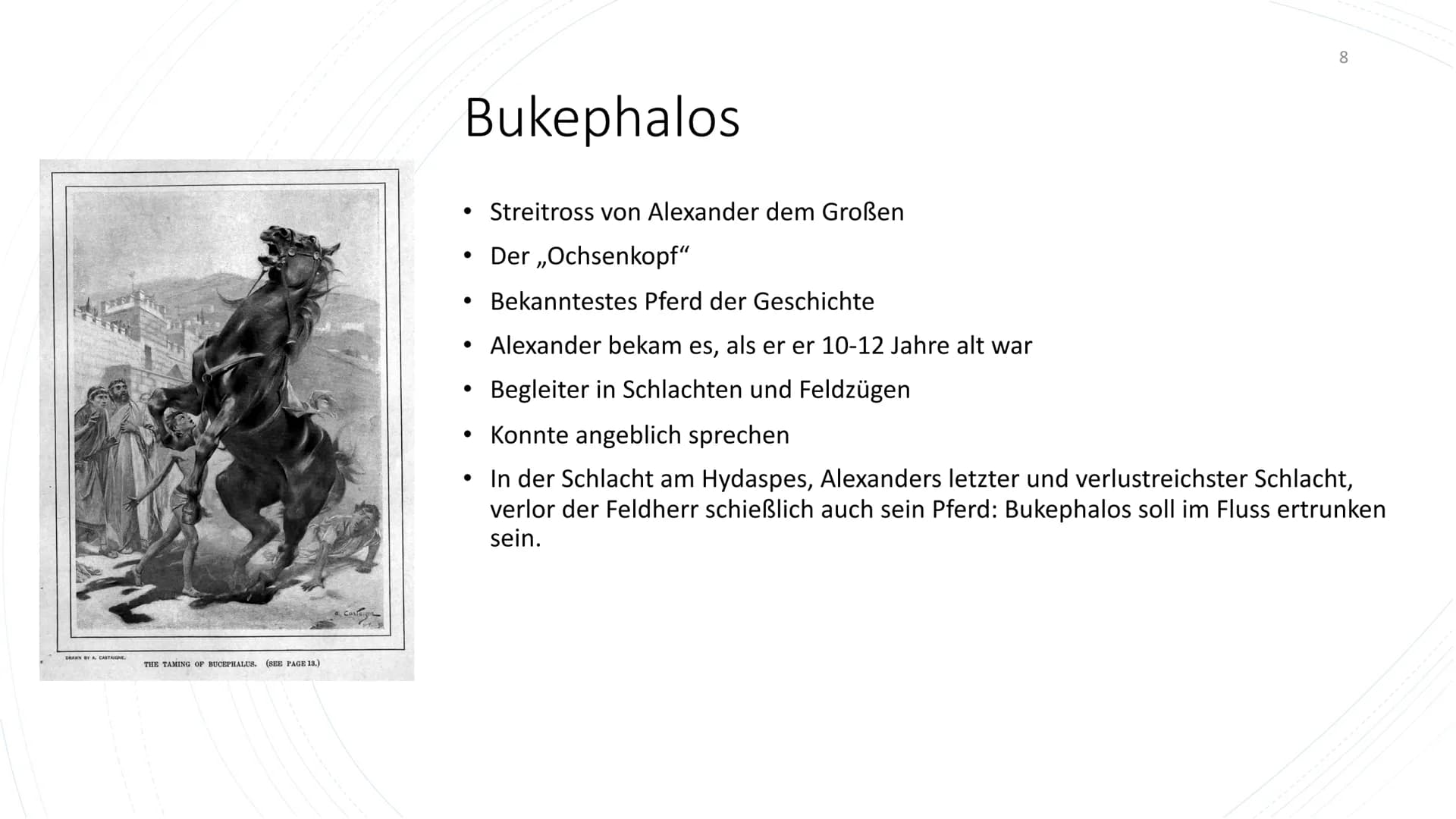 # Alexander der Große und Bukephalos - Handout
## 1 Allgemeines
* ALEXANDER DER GROSSE (356-323 v. Chr.)
* König von Makedonien
* war eine