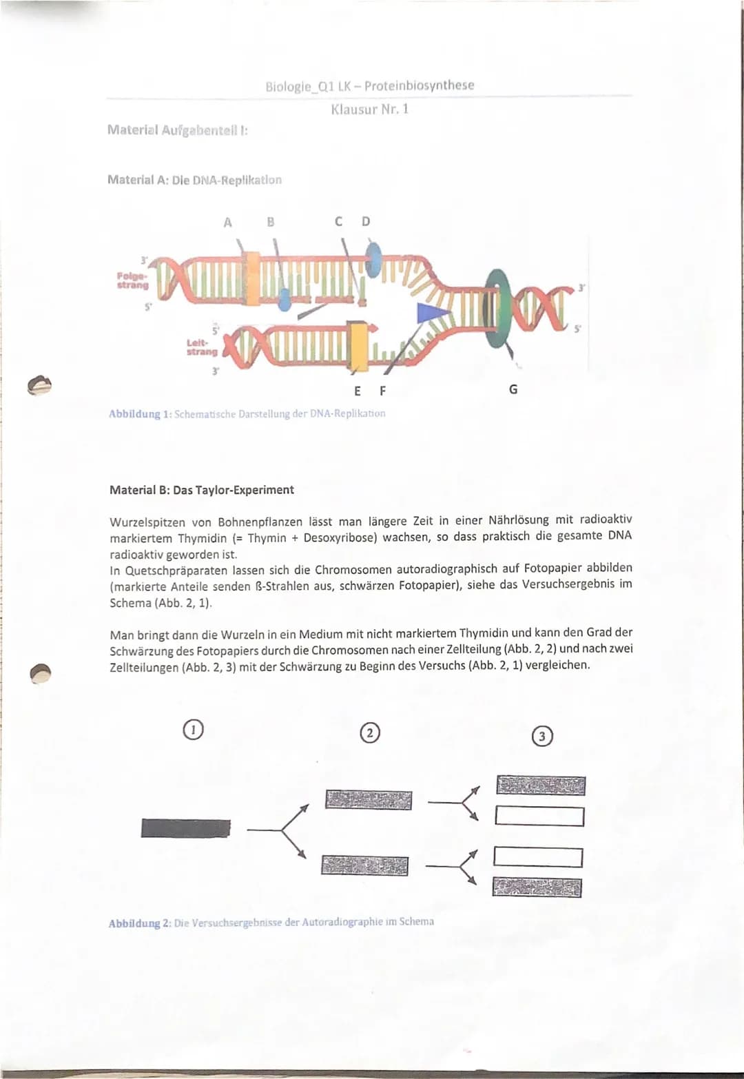 Achte auf eine ordentliche und lesbare Schrift.
Viel Erfolg!
## Teil I: Replikation der DNA
### Aufgaben:
1.1 Ordnen Sie den Buchstaben