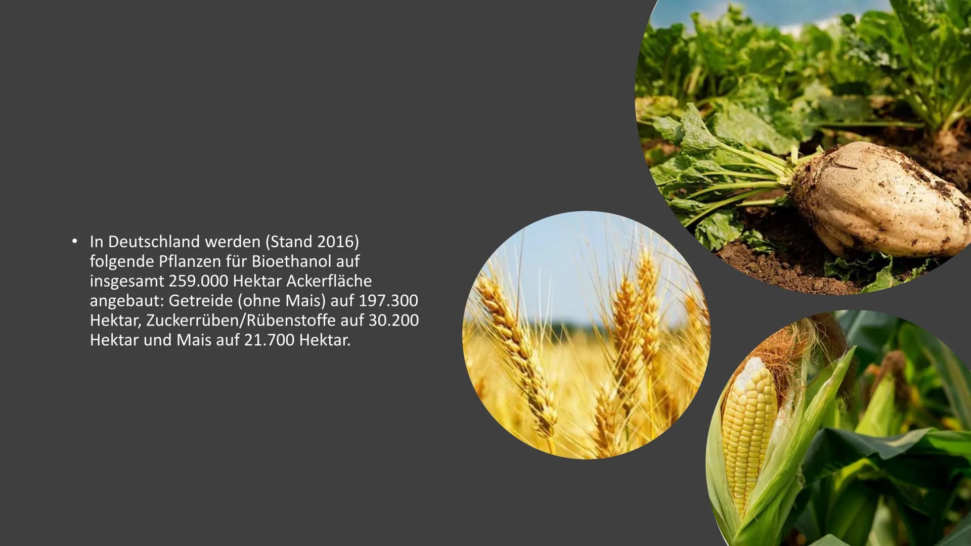 Handout
Name:
Chemie
26.11.2020
10.23
# Bioethanol
1. Was ist Bioethanol ?
H H
H-C-C-O
2. Herstellung
H H
3. Prozessschritte
4. Eige