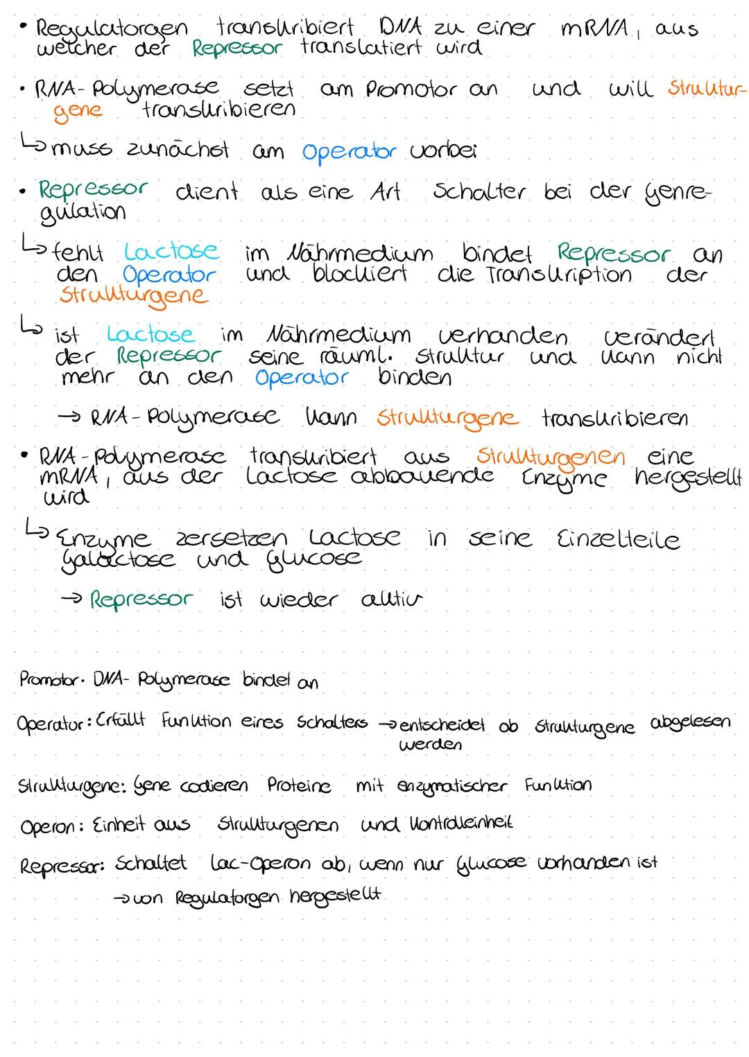 DWA
mRNA
DVA
mRNA
Regulatorgen Promotor
Transkrip-
tion
Transla-
tion
autiver
Repressor
Regulatorgen Promotor
Transkrip-
tion
Transla-
tion