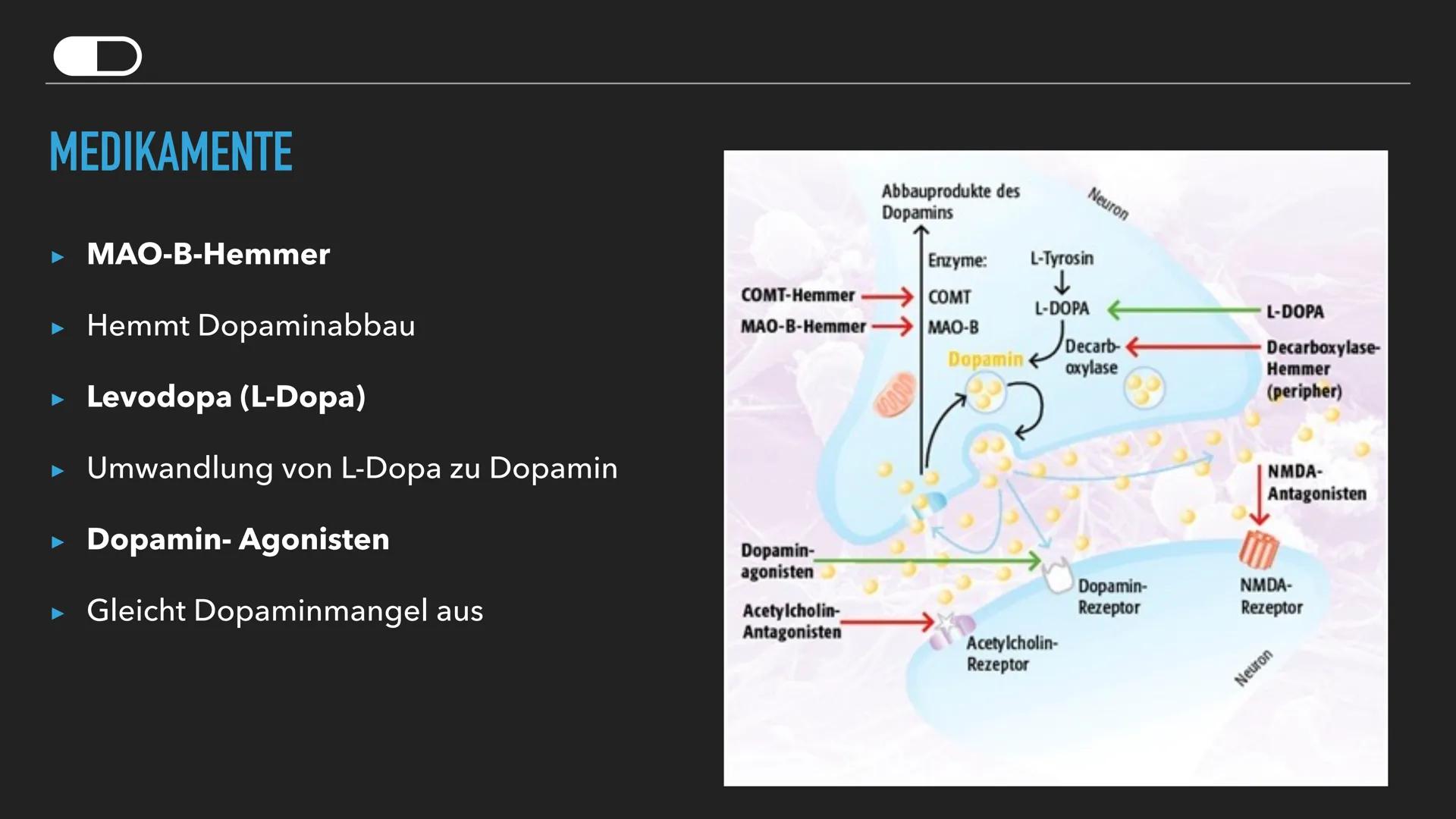 PARKINSON Q
Was ist
Parkinson?
Gliederung
+
Symptome
Ursachen
und
Diagnose
Verlauf
D
Medikamente
und
Behandlung Q
WAS IST PARKINSON?
▸ Nach