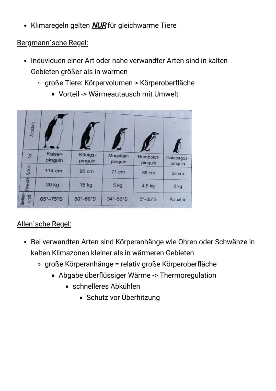 - Klimaregeln gelten NUR für gleichwarme Tiere
### Bergmann'sche Regel:
- Induviduen einer Art oder nahe verwandter Arten sind in kalten G