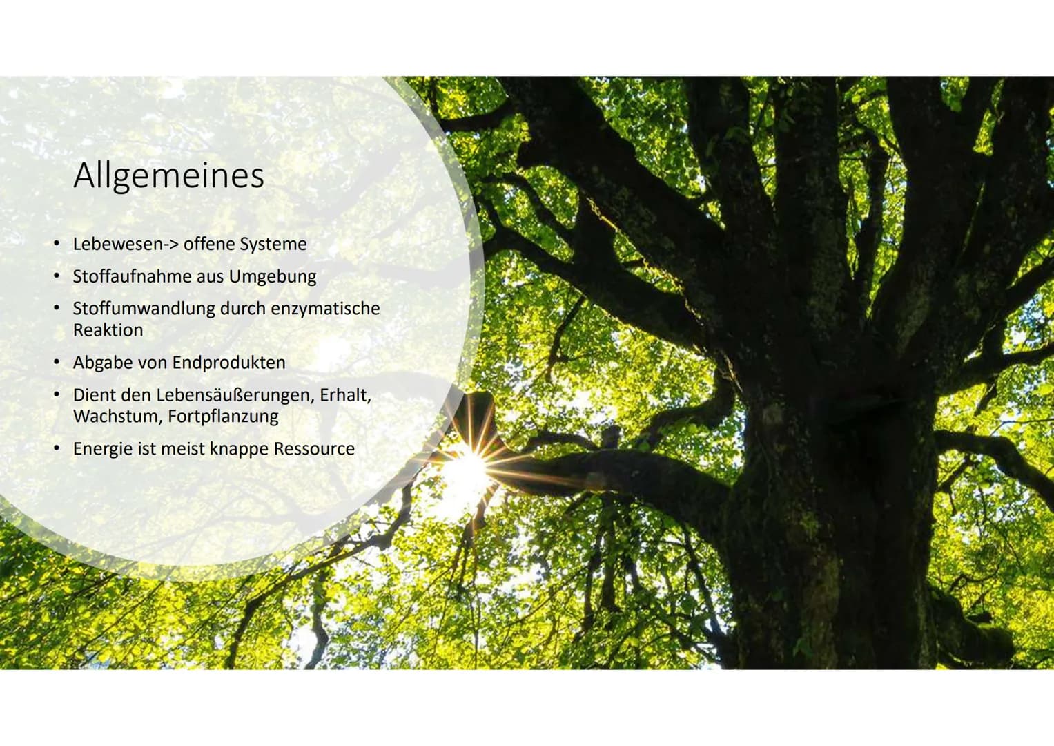Stoff- und
Energieumwandlung
Basiskonzept B4 # Allgemeines
* Lebewesen-> offene Systeme
* Stoffaufnahme aus Umgebung
* Stoffumwandlung durch