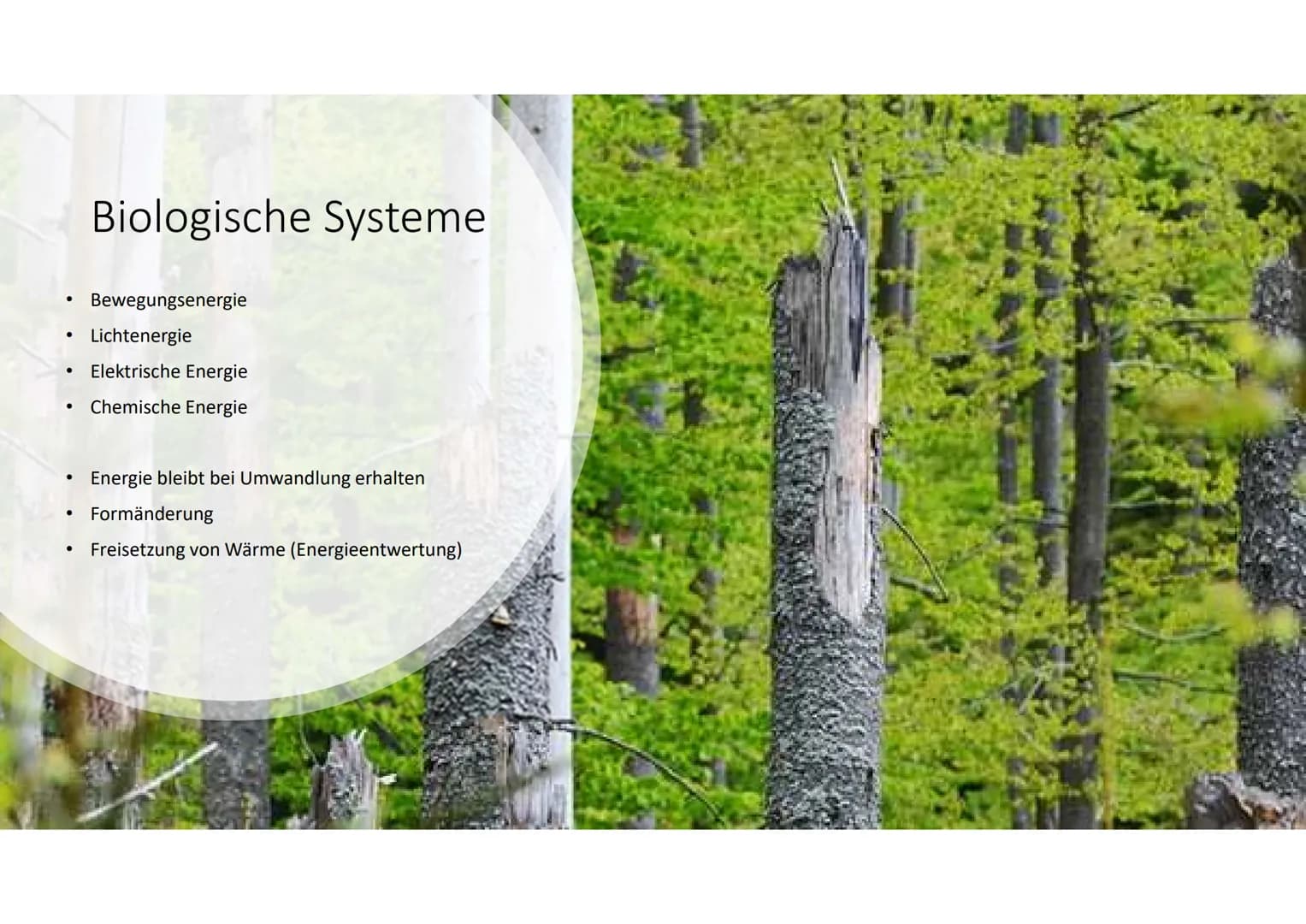 Stoff- und
Energieumwandlung
Basiskonzept B4 # Allgemeines
* Lebewesen-> offene Systeme
* Stoffaufnahme aus Umgebung
* Stoffumwandlung durch