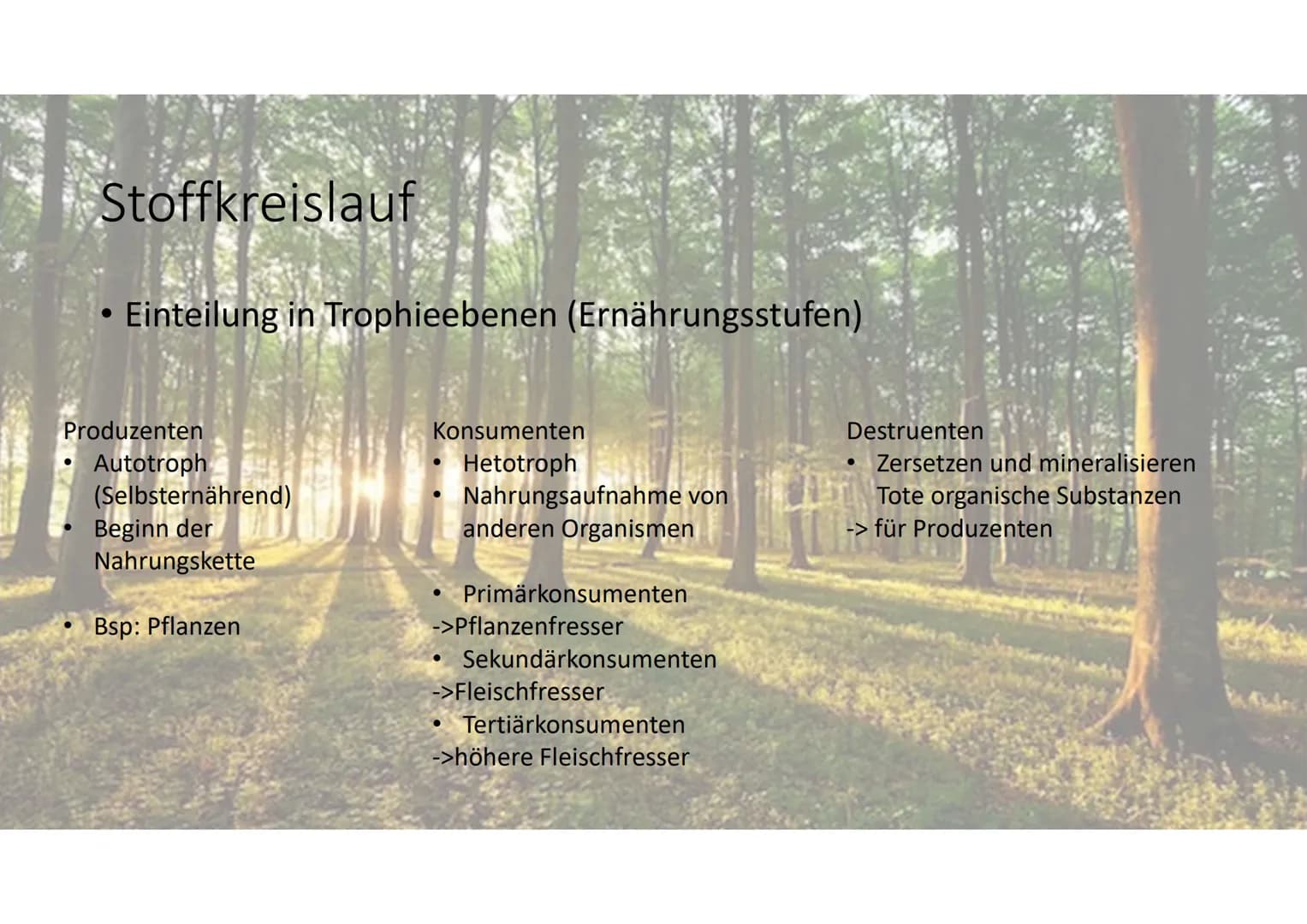 Stoff- und
Energieumwandlung
Basiskonzept B4 # Allgemeines
* Lebewesen-> offene Systeme
* Stoffaufnahme aus Umgebung
* Stoffumwandlung durch