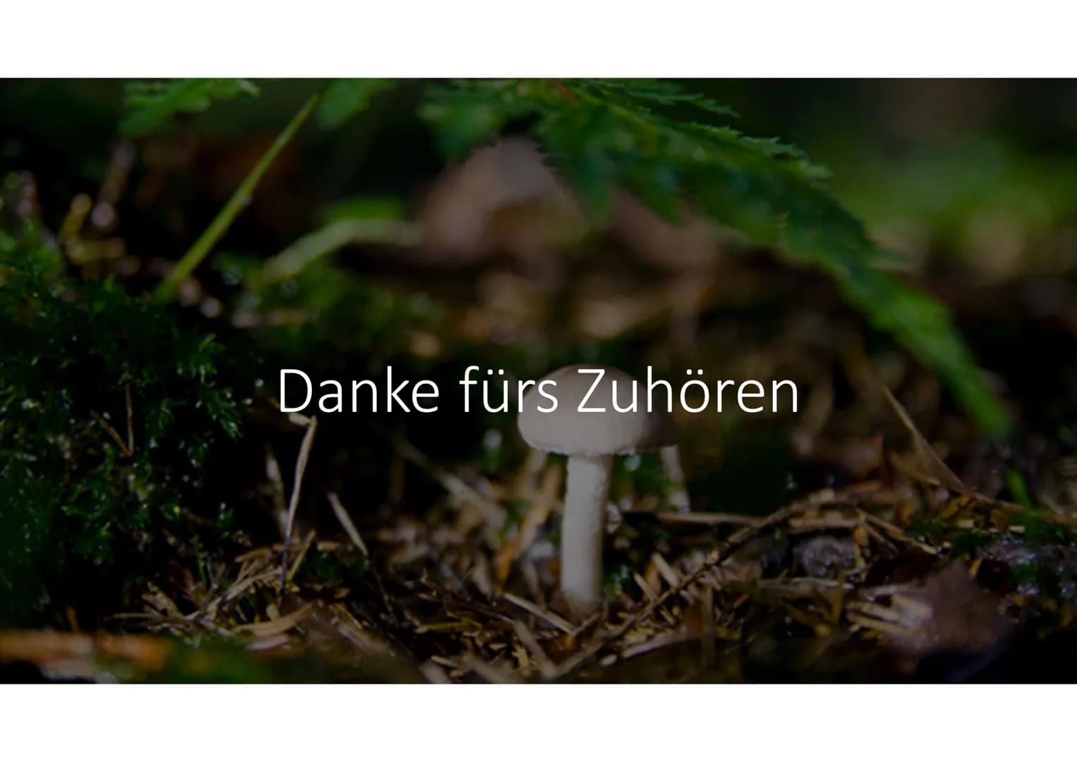 Stoff- und
Energieumwandlung
Basiskonzept B4 # Allgemeines
* Lebewesen-> offene Systeme
* Stoffaufnahme aus Umgebung
* Stoffumwandlung durch
