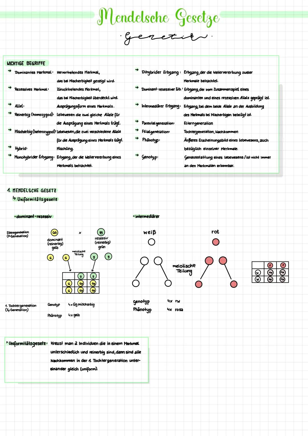 # Mendelsche Gesetze
Genetik
# WICHTIGE BEGRIFFE
- Dominantes Merkmal: Hervortretendes Merkmal,
das bei Hischerbigkeit gezeigt wird.
- Re