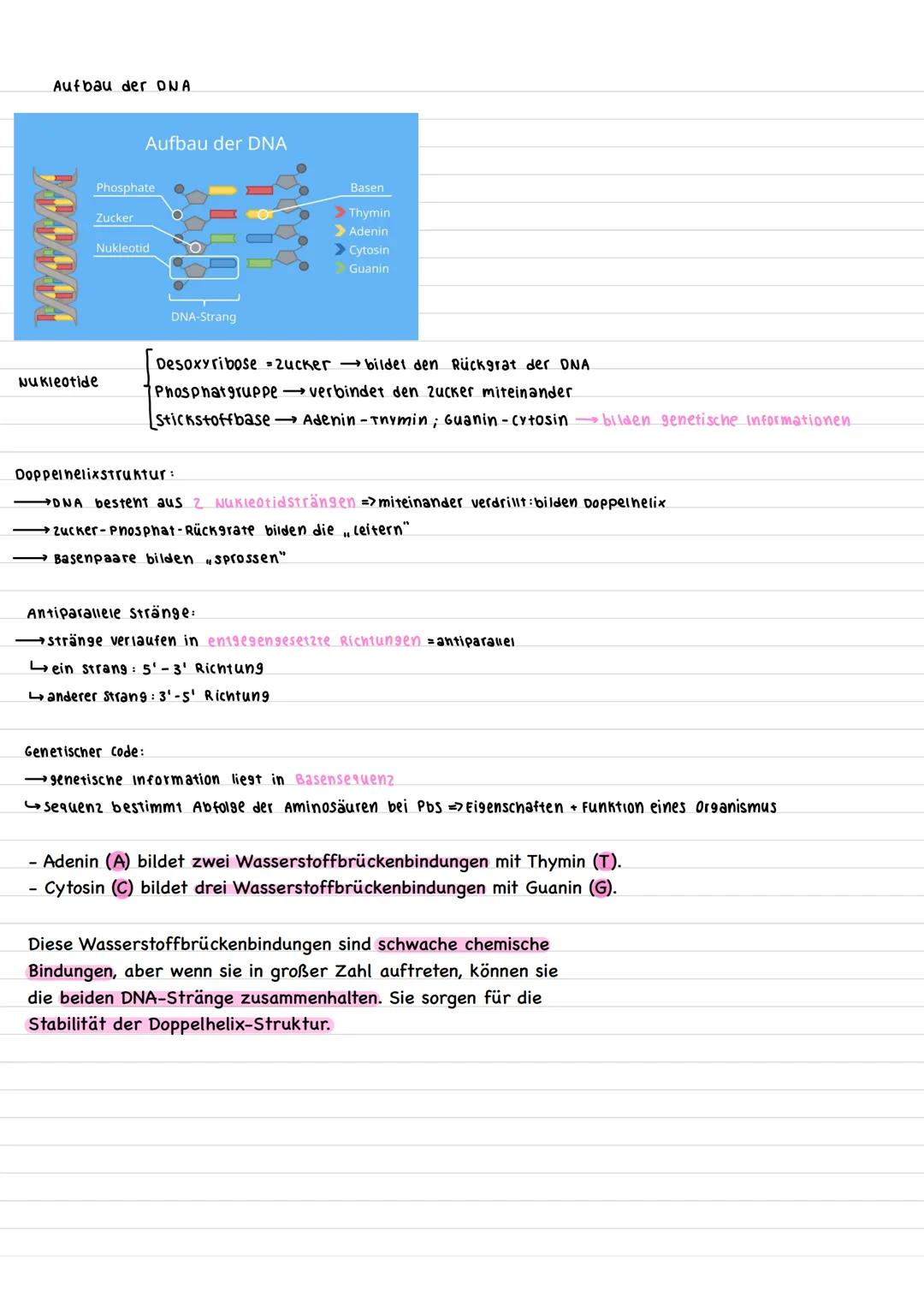 # Bau Procyte und Eucyte
Eucyte
-Pflanzenzelle Vacuole Tüpfel
Mittellamelle
Zellwand
Zelimembran
cytoplasma
Dictyosom
Nucleolus
Zelinern
b
