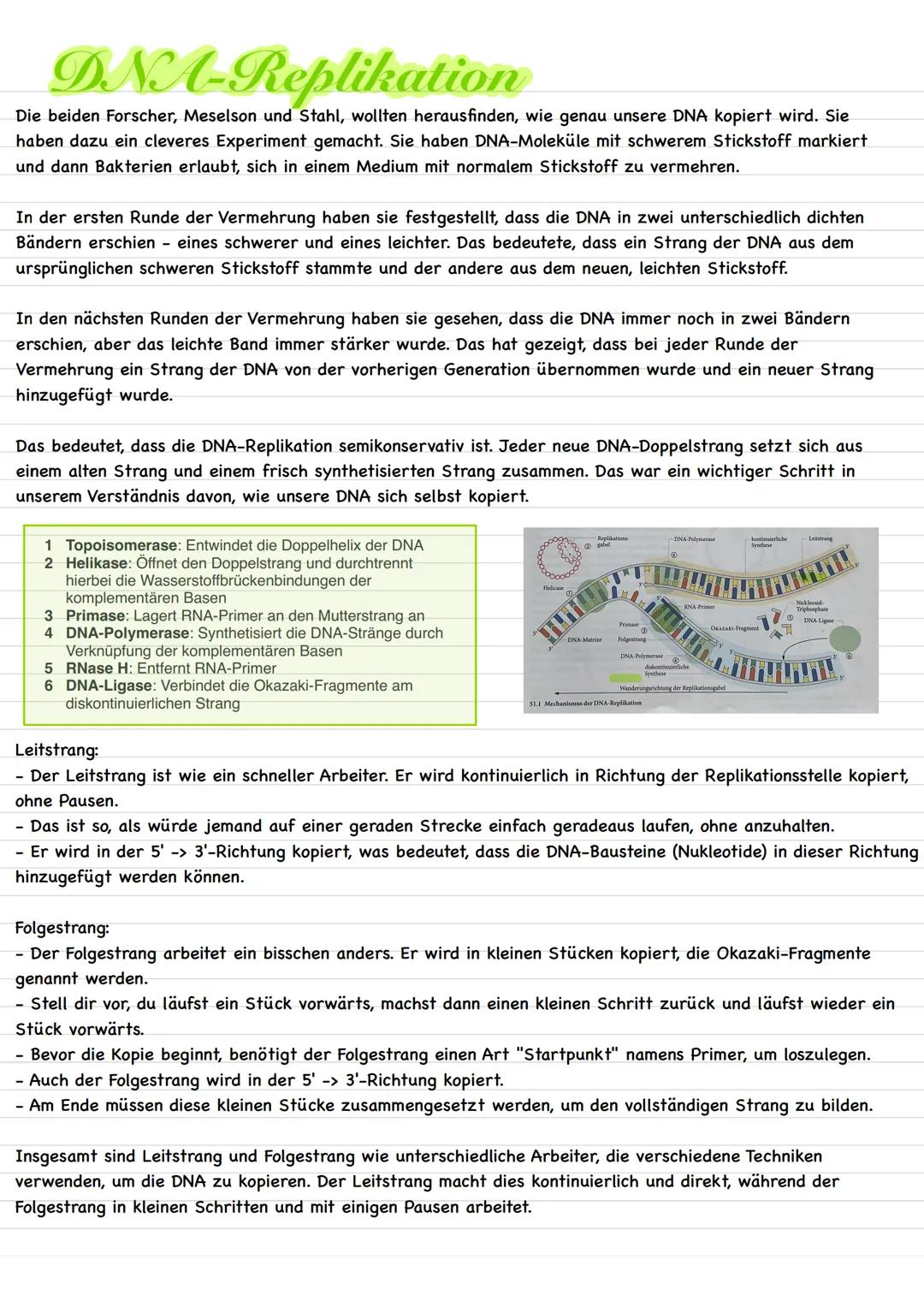 # Bau Procyte und Eucyte
Eucyte
-Pflanzenzelle Vacuole Tüpfel
Mittellamelle
Zellwand
Zelimembran
cytoplasma
Dictyosom
Nucleolus
Zelinern
b