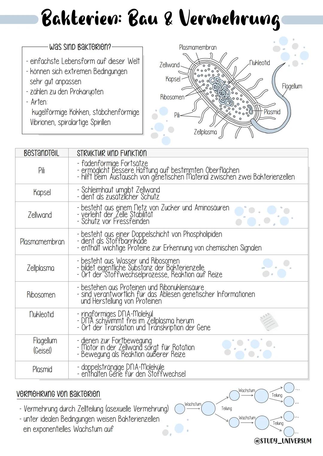 # Bakterien: Bau & Vermehrung
- was sind Bakterien?
- einfachste Lebensform auf dieser Welt
- können sich extremen Bedingungen
- sehr gut a