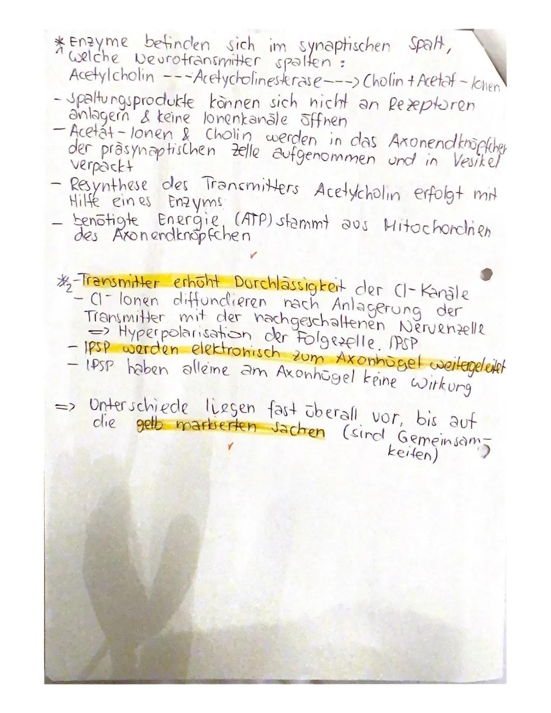gsklasse
14.06.2021
Aufgabe 1:
Erläuterung die Reizweiterleitung an einer erregenden Synapse detailliert.
- geben ankommende Depolarisation