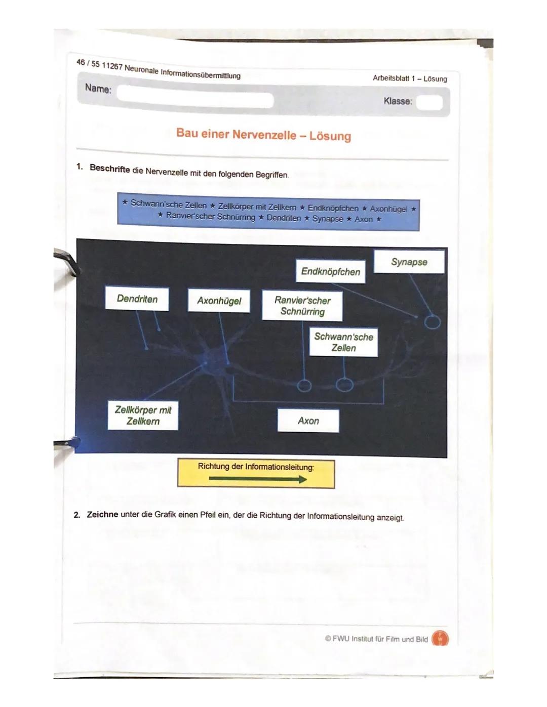 gsklasse
14.06.2021
Aufgabe 1:
Erläuterung die Reizweiterleitung an einer erregenden Synapse detailliert.
- geben ankommende Depolarisation