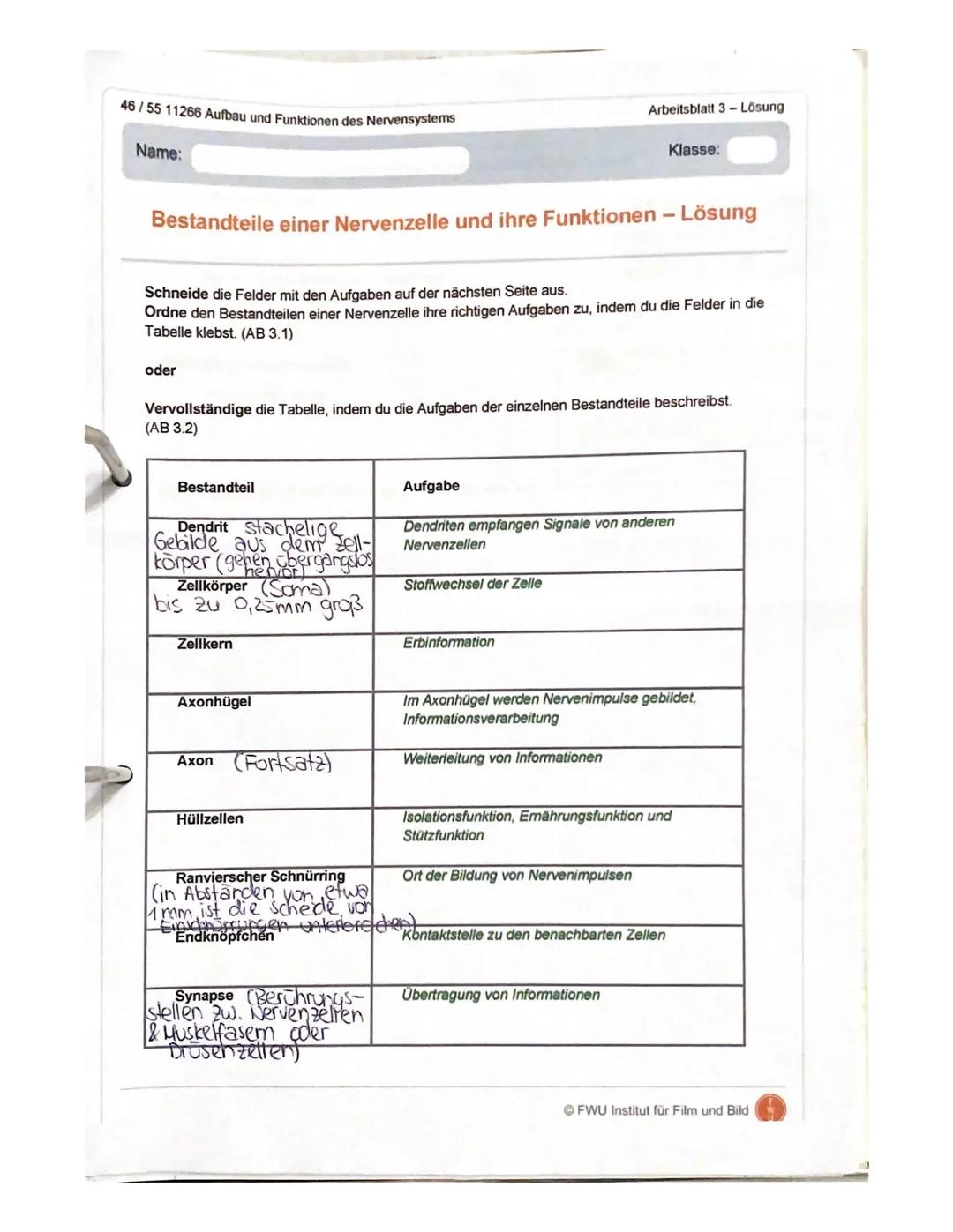 gsklasse
14.06.2021
Aufgabe 1:
Erläuterung die Reizweiterleitung an einer erregenden Synapse detailliert.
- geben ankommende Depolarisation