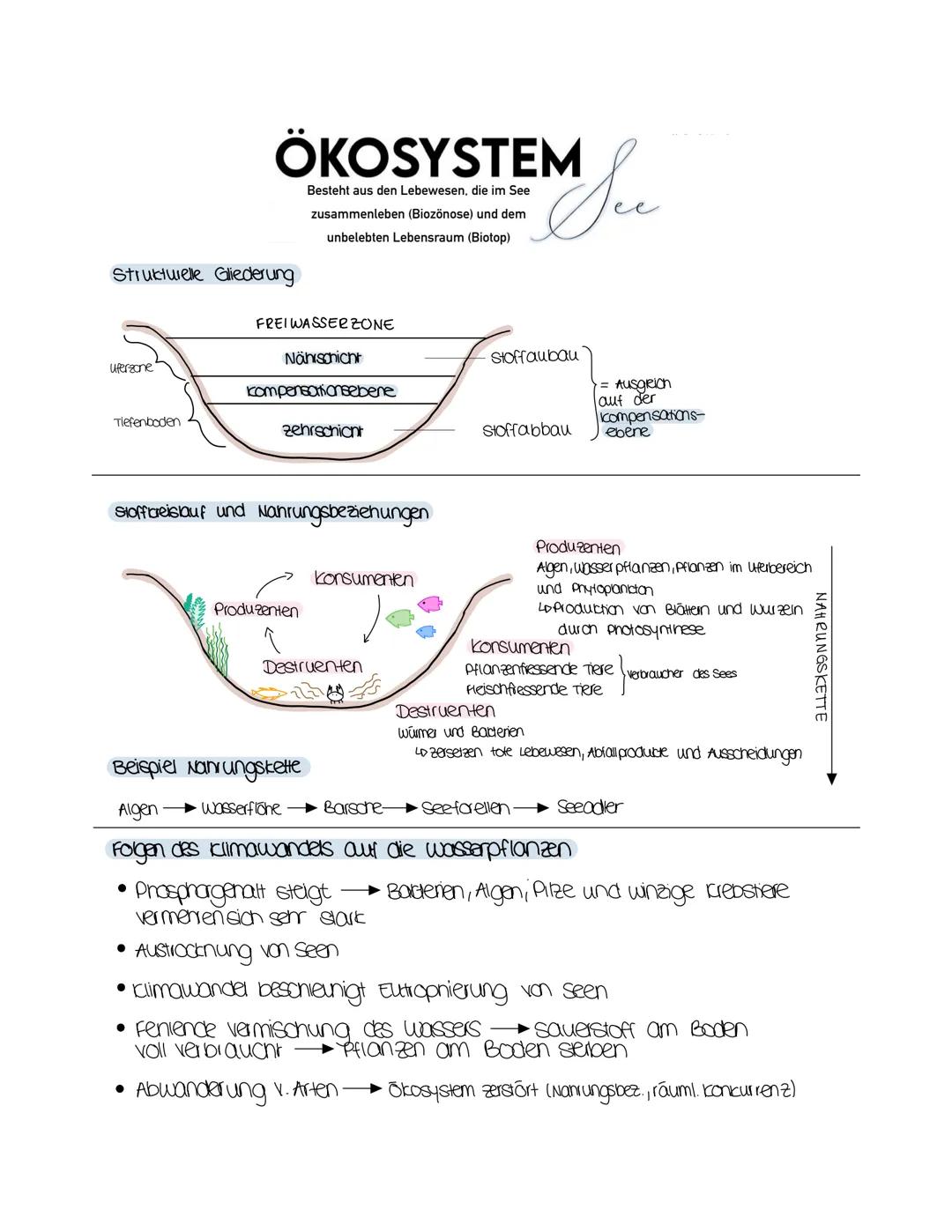 # ÖKOSYSTEM
Besteht aus den Lebewesen, die im See
zusammenleben (Biozonose) und dem
unbelebten Lebensraum (Biotop)
Su
## Strukturelle Gliede