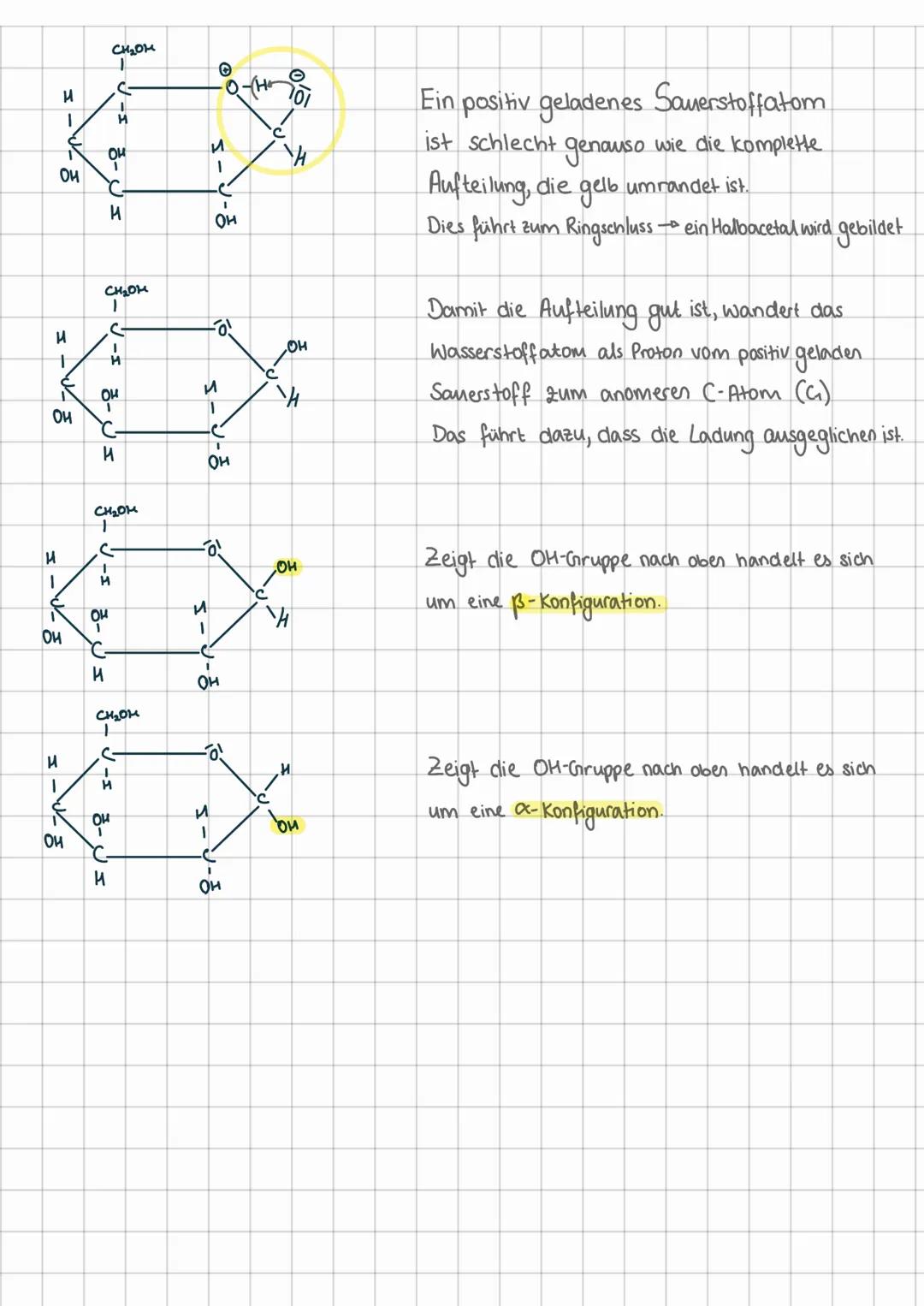 4. 0
н
он-
4.
И
M
CH₂O
04
н
OH
И
Haworth-Projektion
•Darstellungsweise für 5/6-gliedrige ringförmige Moleküle
CH2OH
н
он-
0.
-он
-OH
Cult
и