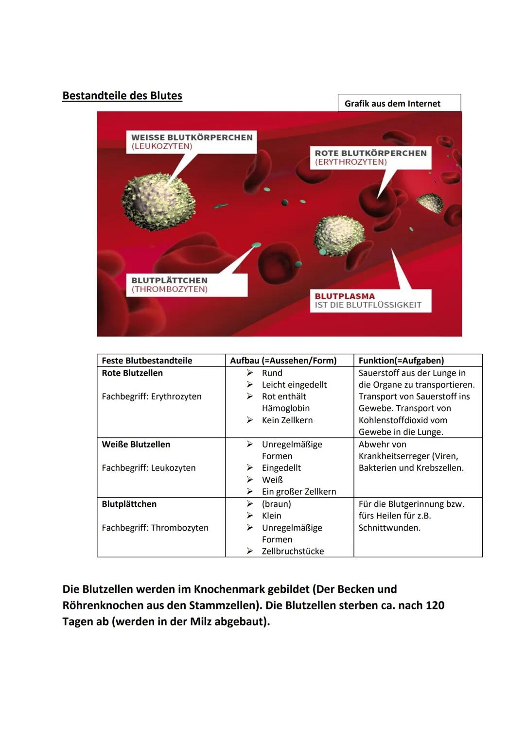 Thema:
# Blut
Im Menschlichem Gefäßsystem sind etwa 70-80 ml Blut (pro kg Körpergewicht also ca. 8%
des gesamten Körpergewichts).
Bei eine
