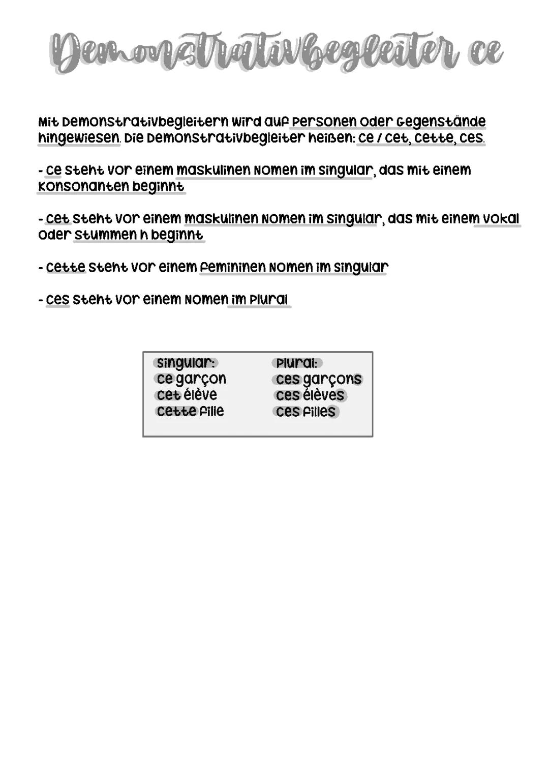 Demonstrativbegleiter ce