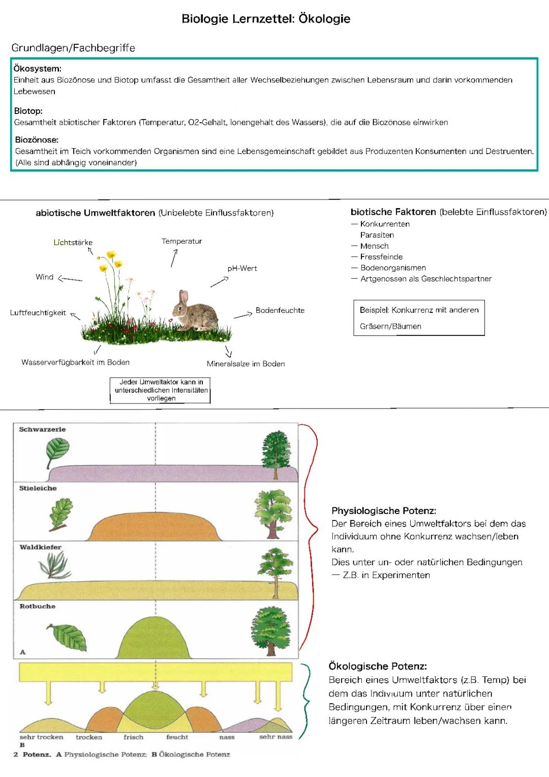 Biologie Lernzettel - Ökologie
