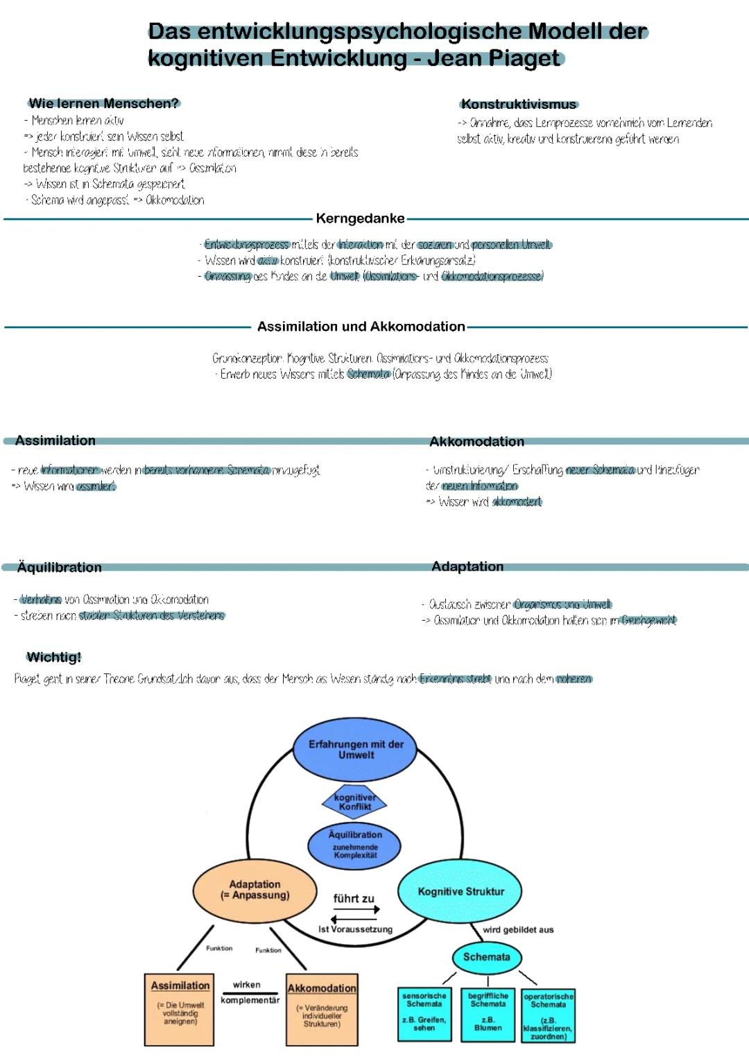 Jean Piaget kognitive Entwicklung