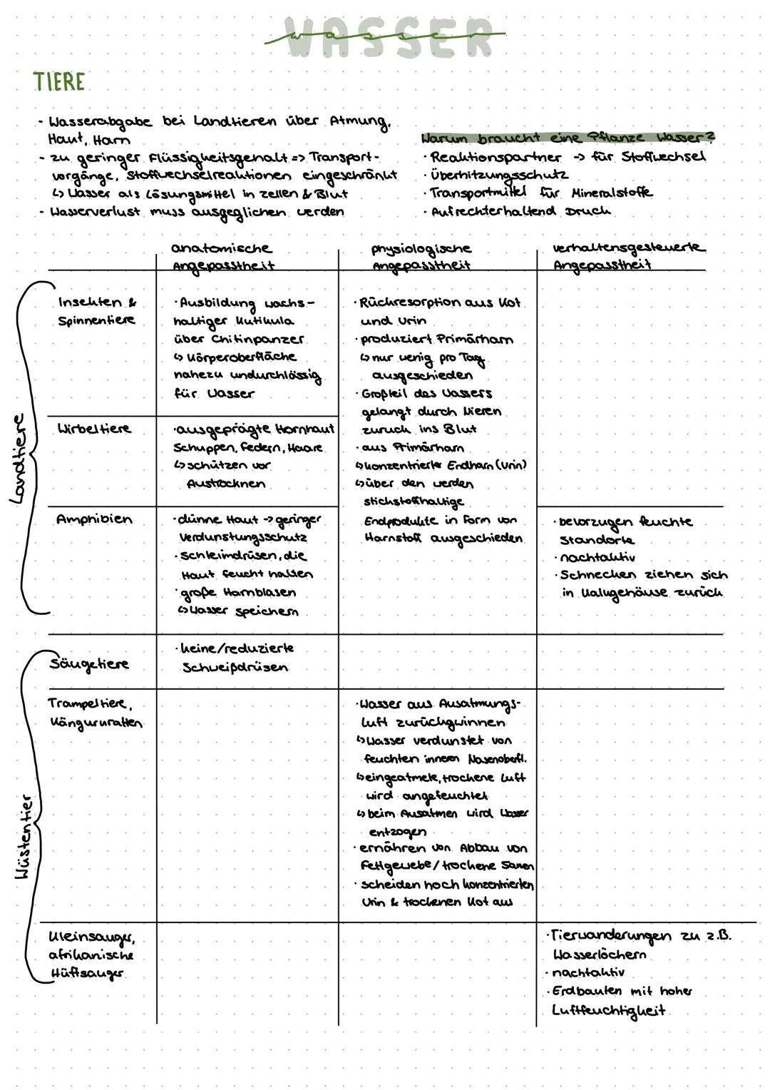 # GRUNDBEGRIFFE
## ÖKOSYSTEM
biotische Ökofaktoren
- Lebewesen der eigenen Art
- Feinde
- Beute
- Lebewesen anderer Arten
↳ Einflüss