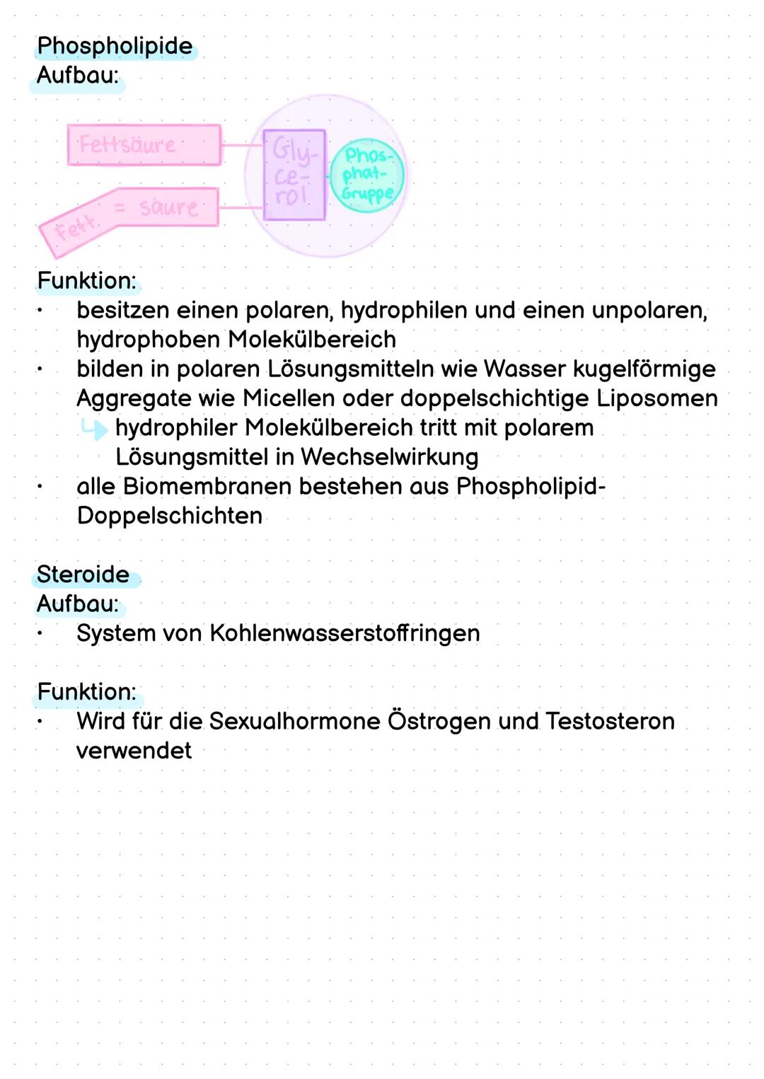 # Lipide
Zu S.42
Aufgabe 1
Eigenschaften von Lipiden
* sehr verschiedenartige Stoffklassen von Biomolekülen,
* darunter Fette, Öle, Ph