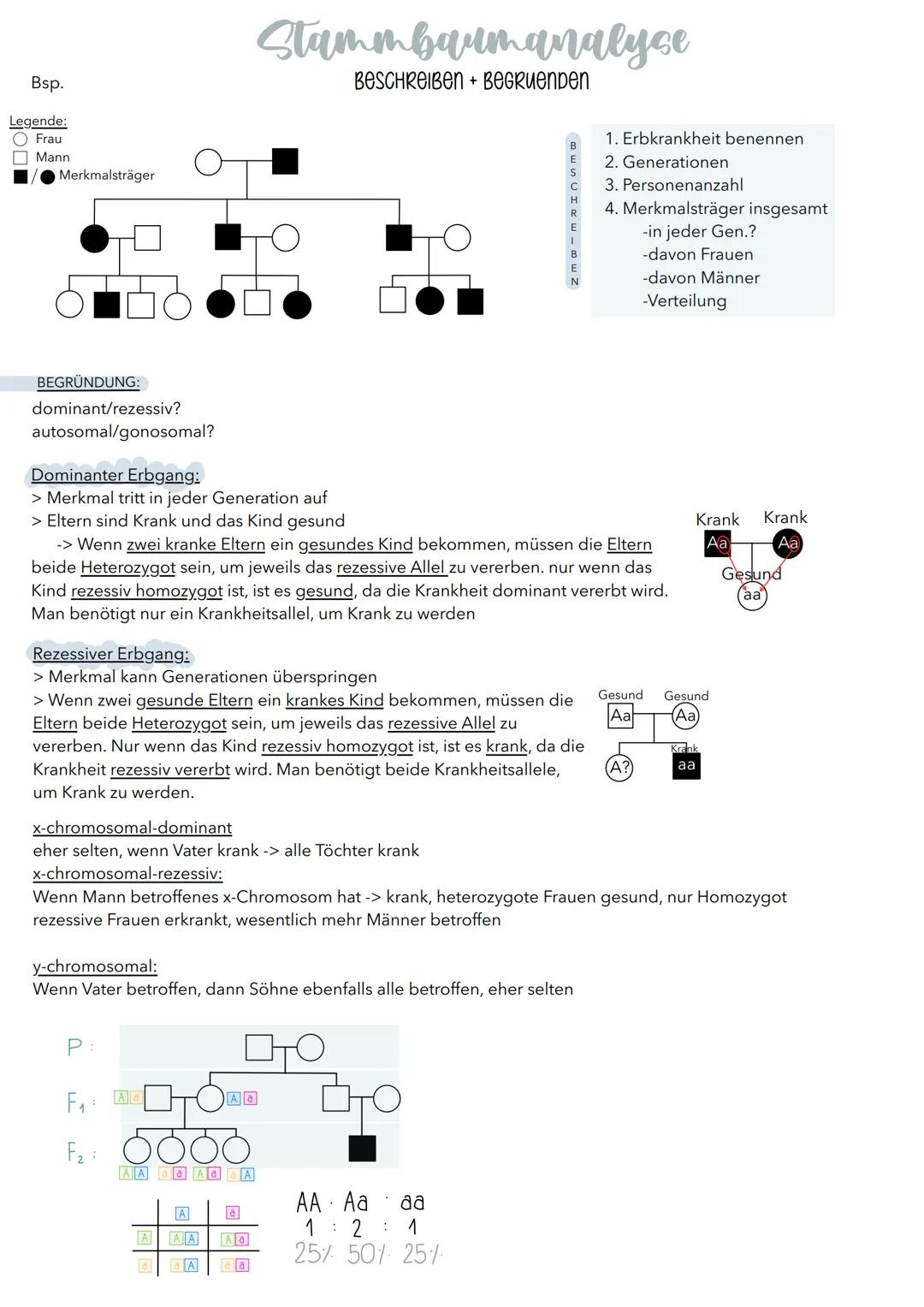 Bsp.
Legende:
Frau
Mann
Merkmalsträger
# Stammbaumanalyse
## BESCHREIBEN + BEGRuenpen
BESCHREIBEN
1. Erbkrankheit benennen
2. Generation