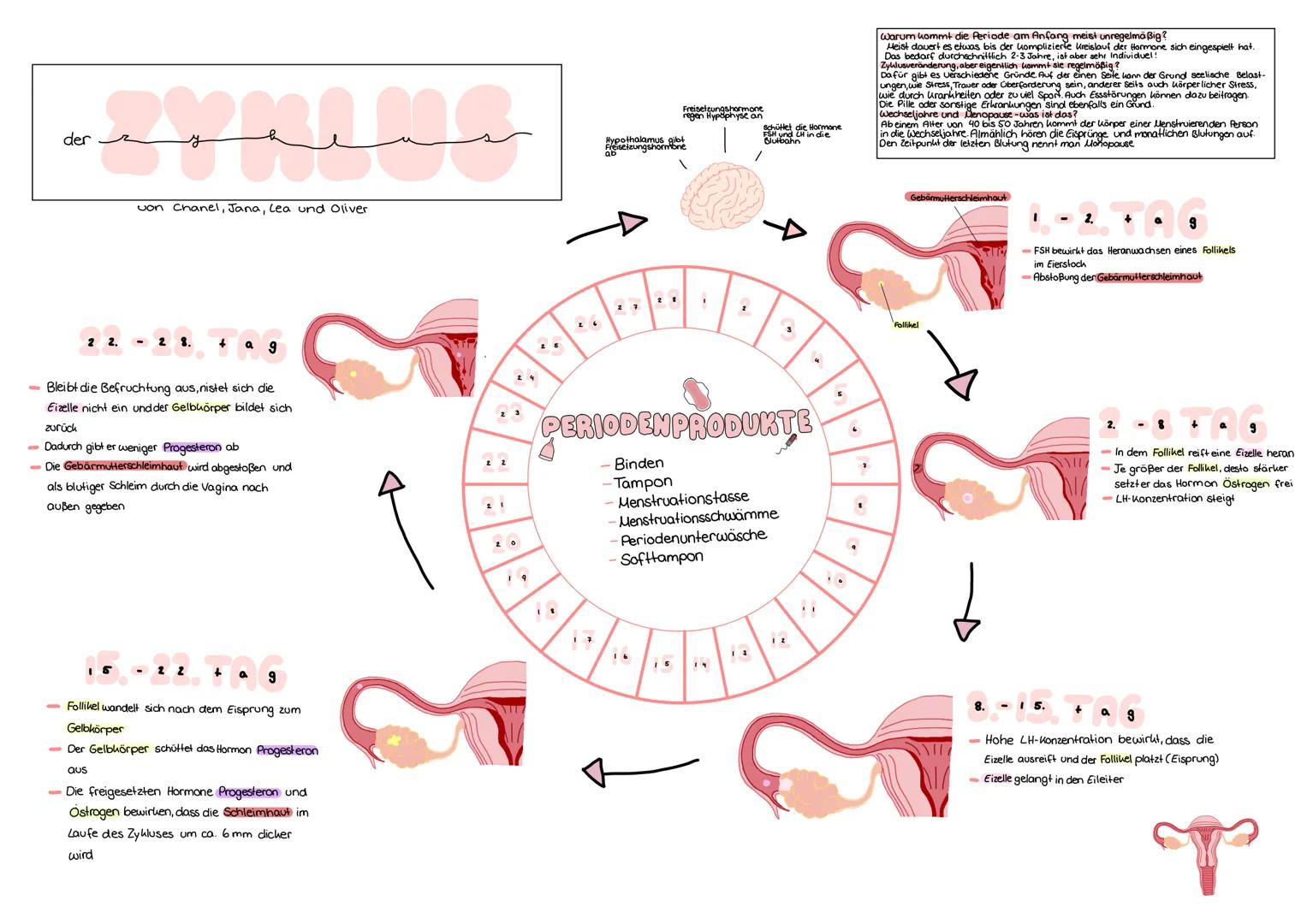 der
y
von Chanel, Jana, Lea und Oliver
22.-28.4
ag 9
- Bleibt die Befruchtung aus, nistet sich die
Eizelle nicht ein und der Gelbhörper bi