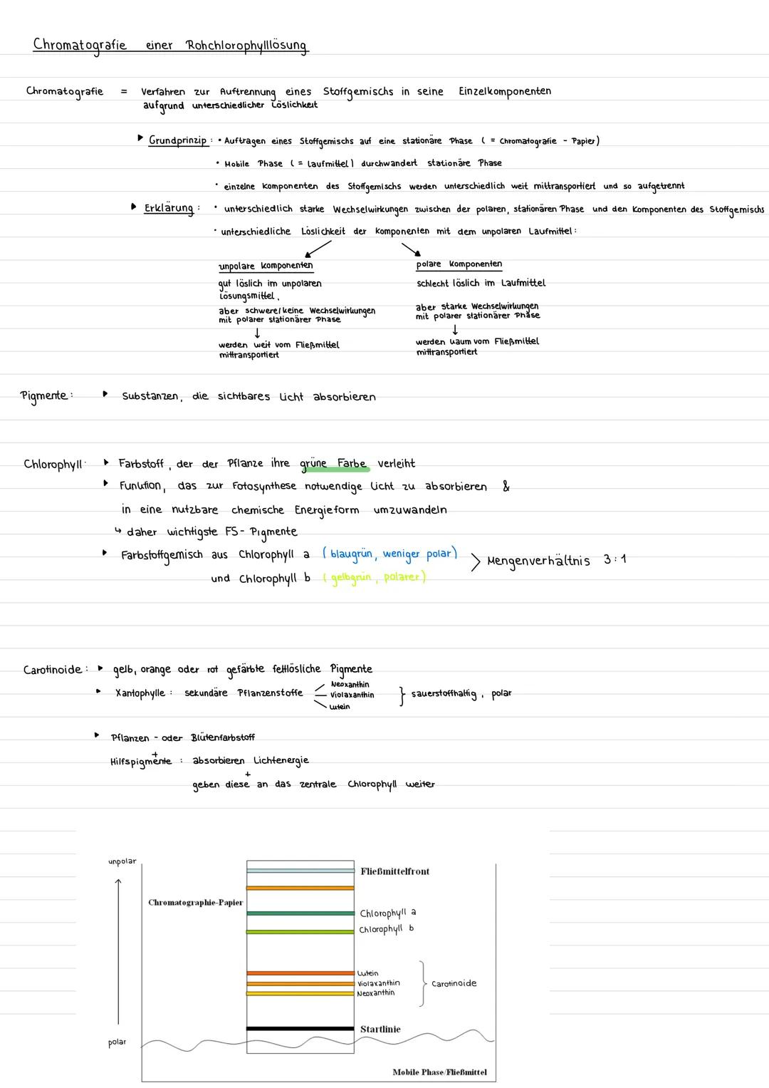 # Chromatografie einer Rohchlorophylllosung
Chromatografie = Verfahren zur Auftrennung eines Stoffgemischs in seine Einzelkomponenten
aufgr