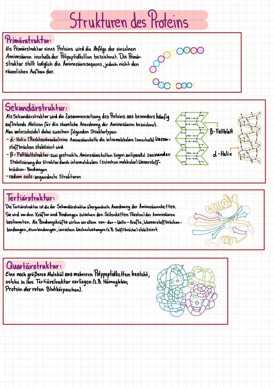 Strukturen eines Proteins