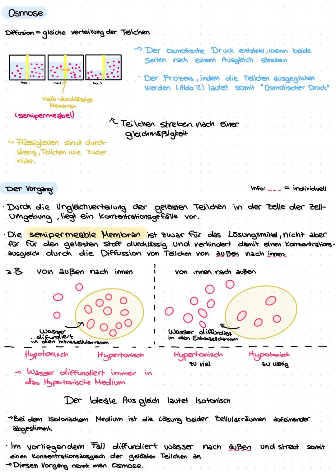 # Osmose
Diffusion = gleiche verteilung der Teilchen
Halb-durchlässige
Membran
(semipermeabel)
Flüssigkeiten. sind durch-
lässig, Teilche