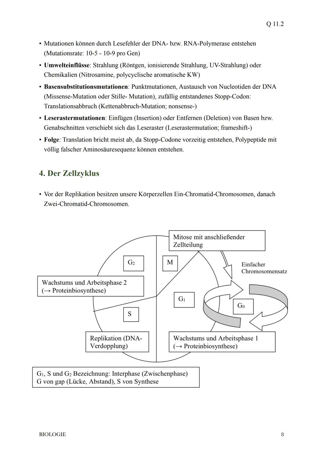 @diedamitlernzetteln
1.Proteinbiosynthese
1.1Der Weg vom Gen zum Merkmal
* bei der Ausprägung eines Merkmals wirken in der Regel die Ge