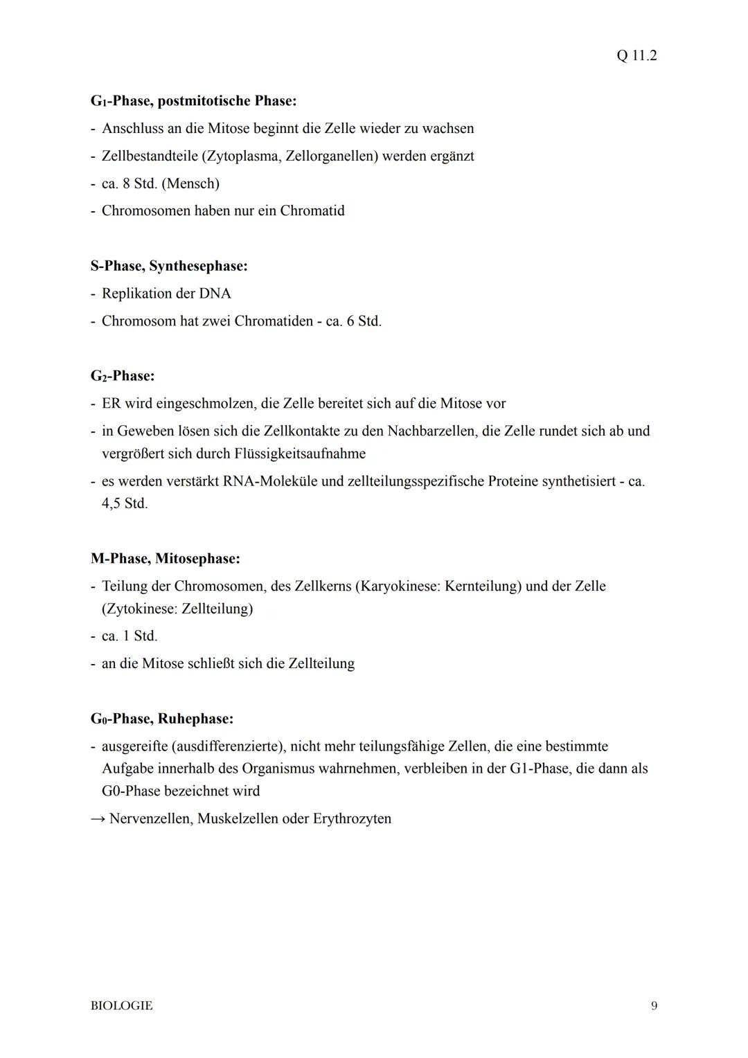 @diedamitlernzetteln
1.Proteinbiosynthese
1.1Der Weg vom Gen zum Merkmal
* bei der Ausprägung eines Merkmals wirken in der Regel die Ge