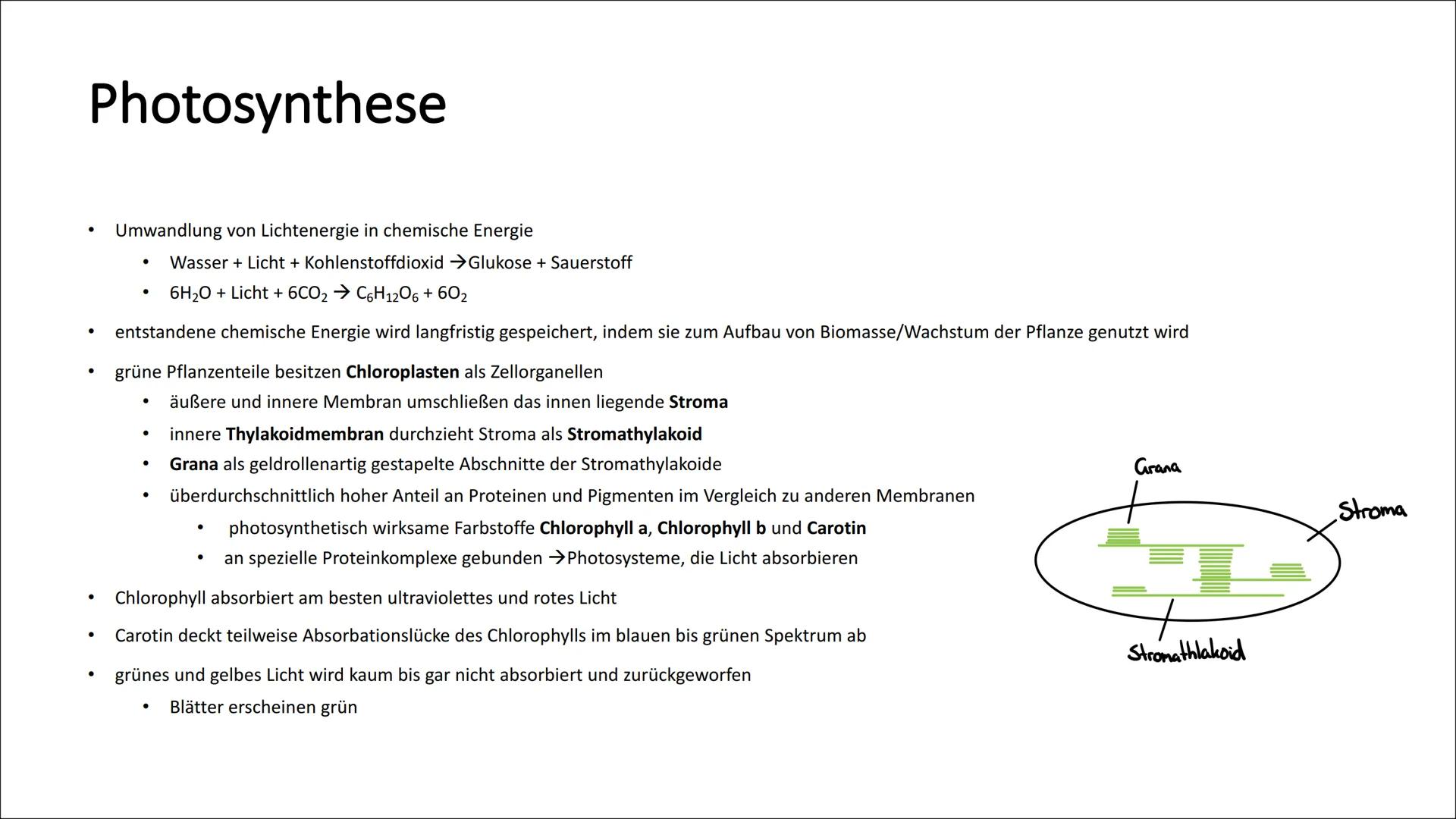 # Photosynthese
* Umwandlung von Lichtenergie in chemische Energie
* Wasser + Licht + Kohlenstoffdioxid Glukose + Sauerstoff
* 6H2O +