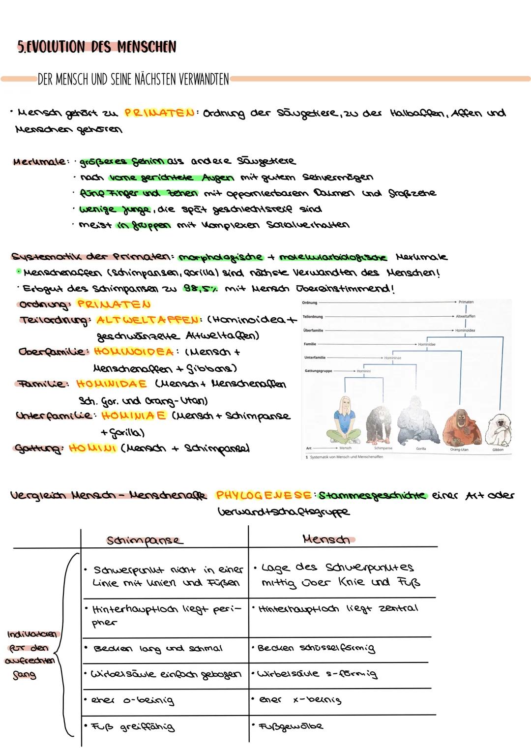 Evolution Abitur 2022