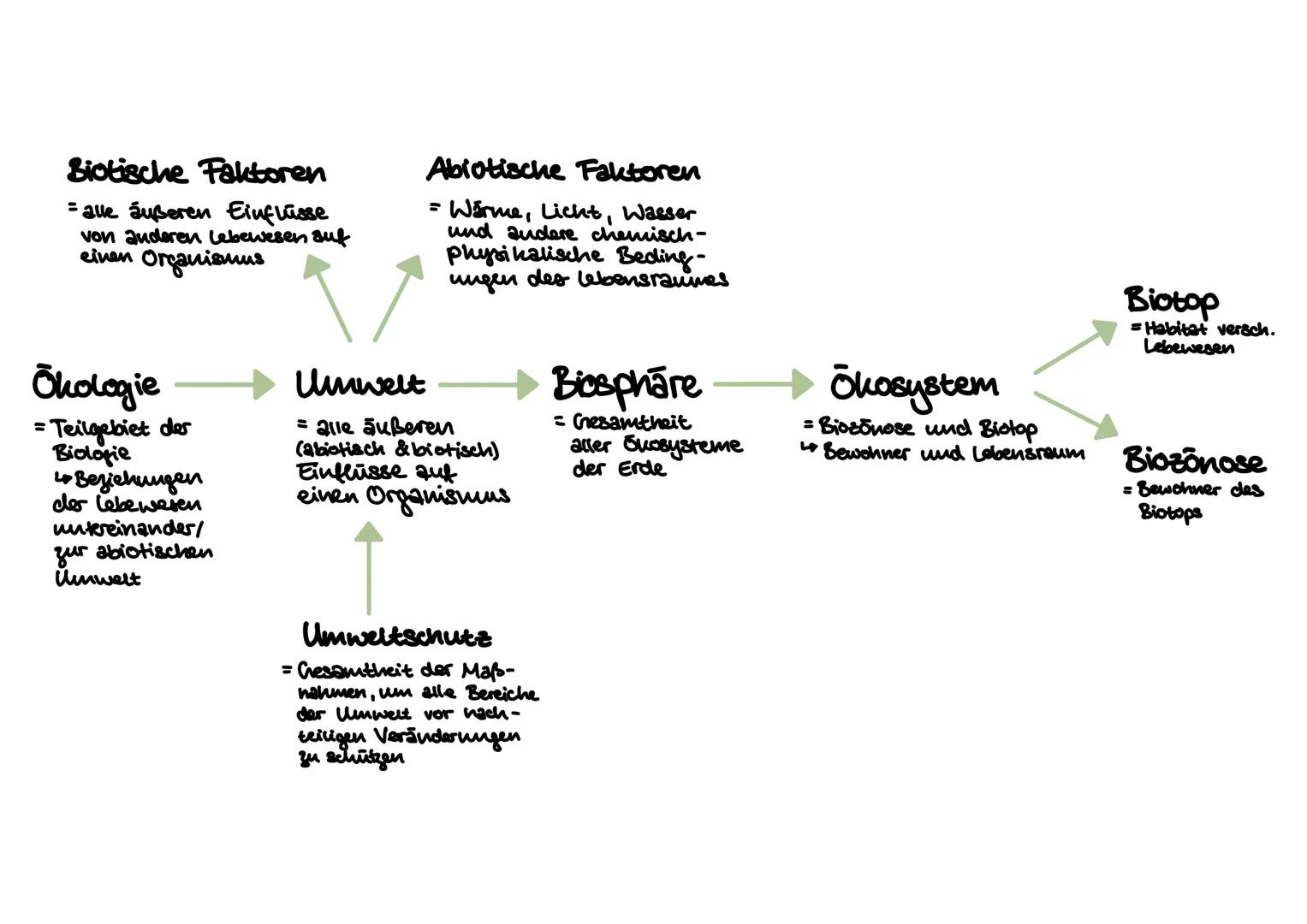 Biotische Faktoren
=alle äußeren Einflüsse
von anderen Lebewesen auf
einen Organismus
Ökologie
= Teilgebiet der
Biologie
Beziehungen
der Le