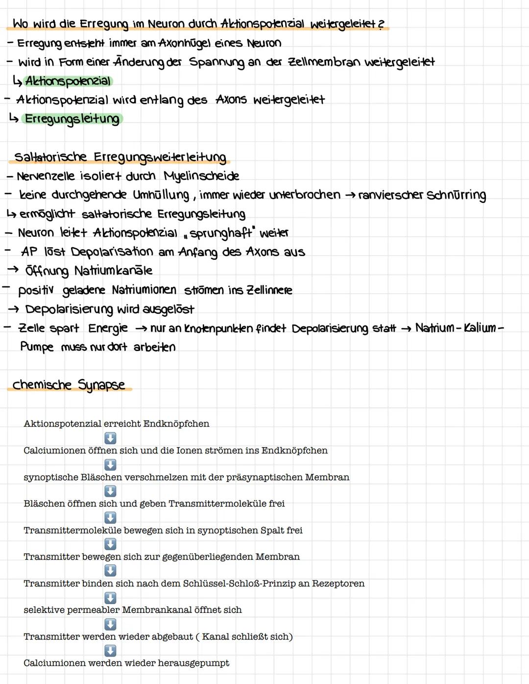 # NEUROBIOLOGIE
Aufbau einer Nervenzelle
Soma (Zellkörper)
Axon
Dendriten
Zellkern
ranvierscher.
Myelinscheide
Axonhügel
Schnürring
pras