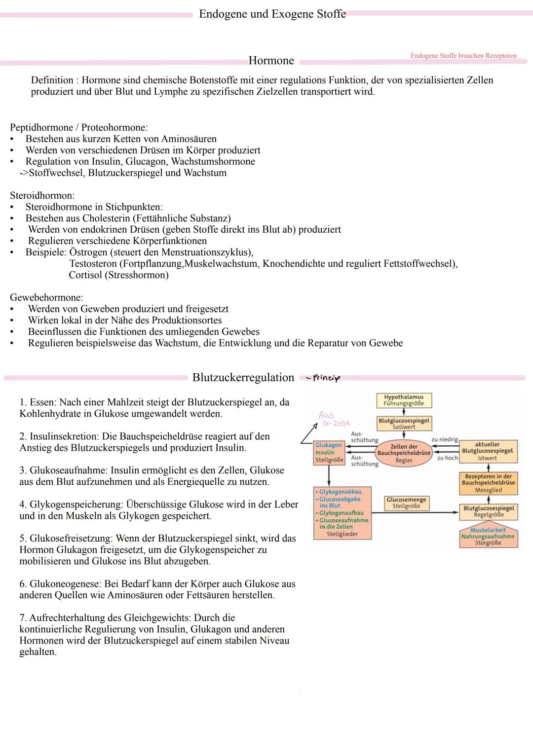 Vom Reiz zur Reaktion
- Reizaufnahme: Die Aufnahme von Informationen durch Sinnesorgane, wie zum Beispiel
das Sehen oder Hören.
- Rezeptorze