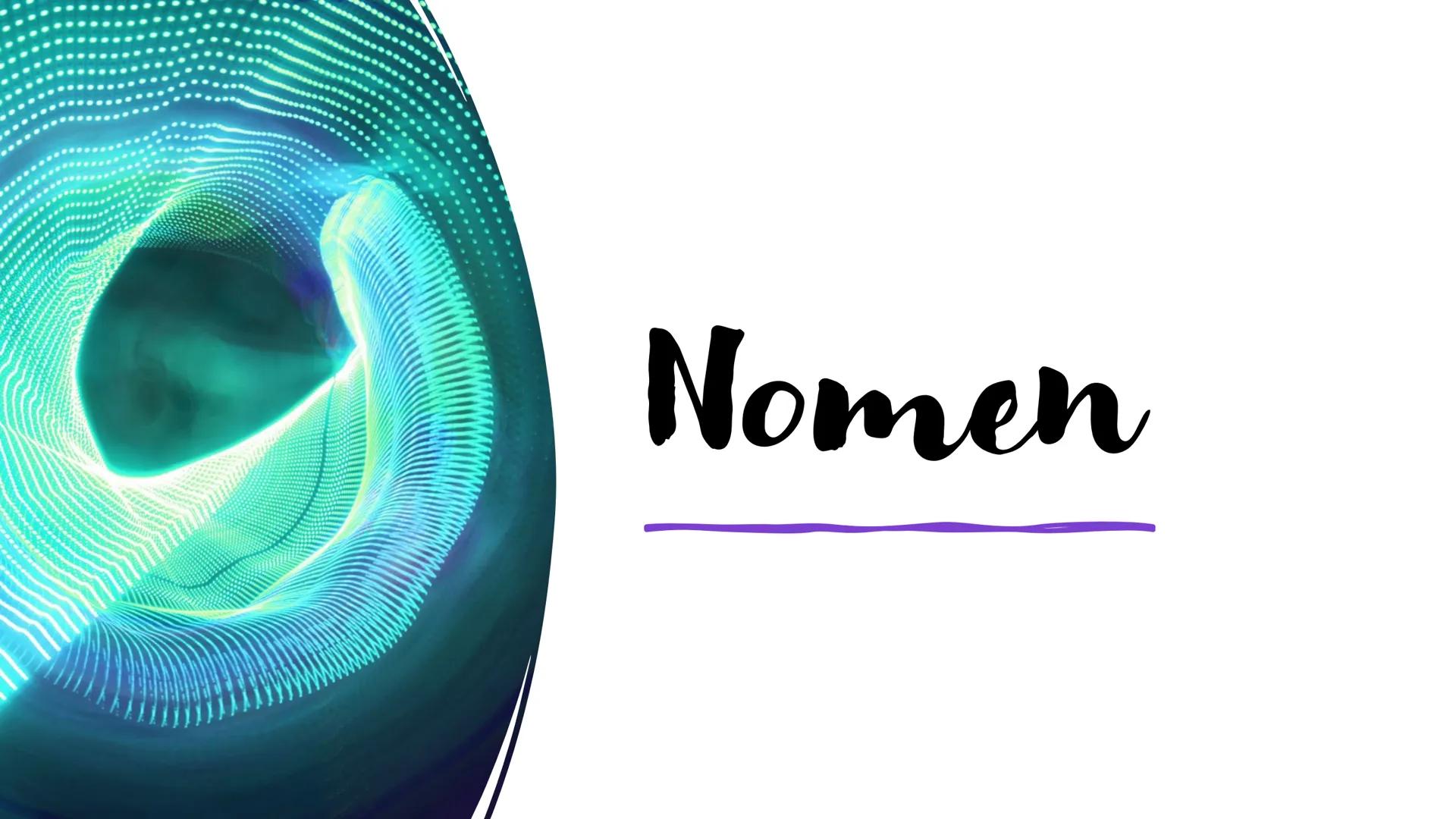 Nomen Nomen
erkennen
Auch Substantive genannt
Namen für Lebewesen, ungelebte Gegenstände
Schreibt mann immer groß
Artikel der, die, das Nume