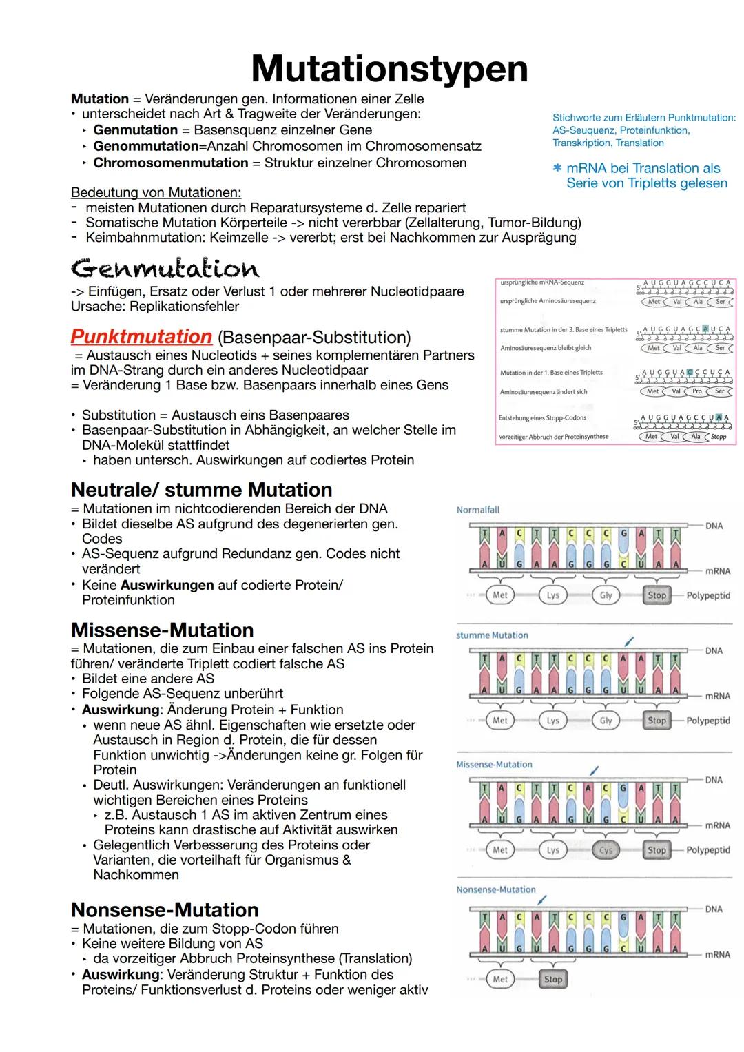 # Mutationstypen
Mutation = Veränderungen gen. Informationen einer Zelle
- unterscheidet nach Art & Tragweite der Veränderungen:
- Genmut
