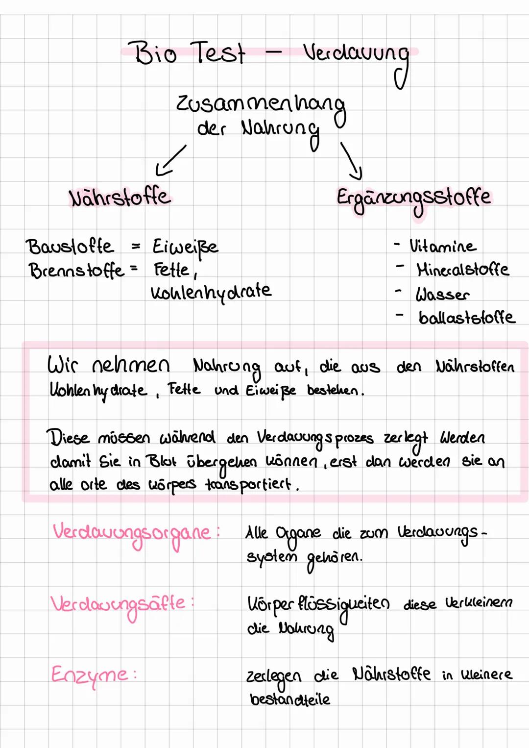 Bio Test
Nährstoffe
Baustoffe = Eiweiße
= Fette,
Brennstoffe
Zusammenhang
der Nahrung
✓
Kohlenhydrate
Verdauung
Enzyme:
Verdauungsäfte:
↓
Er