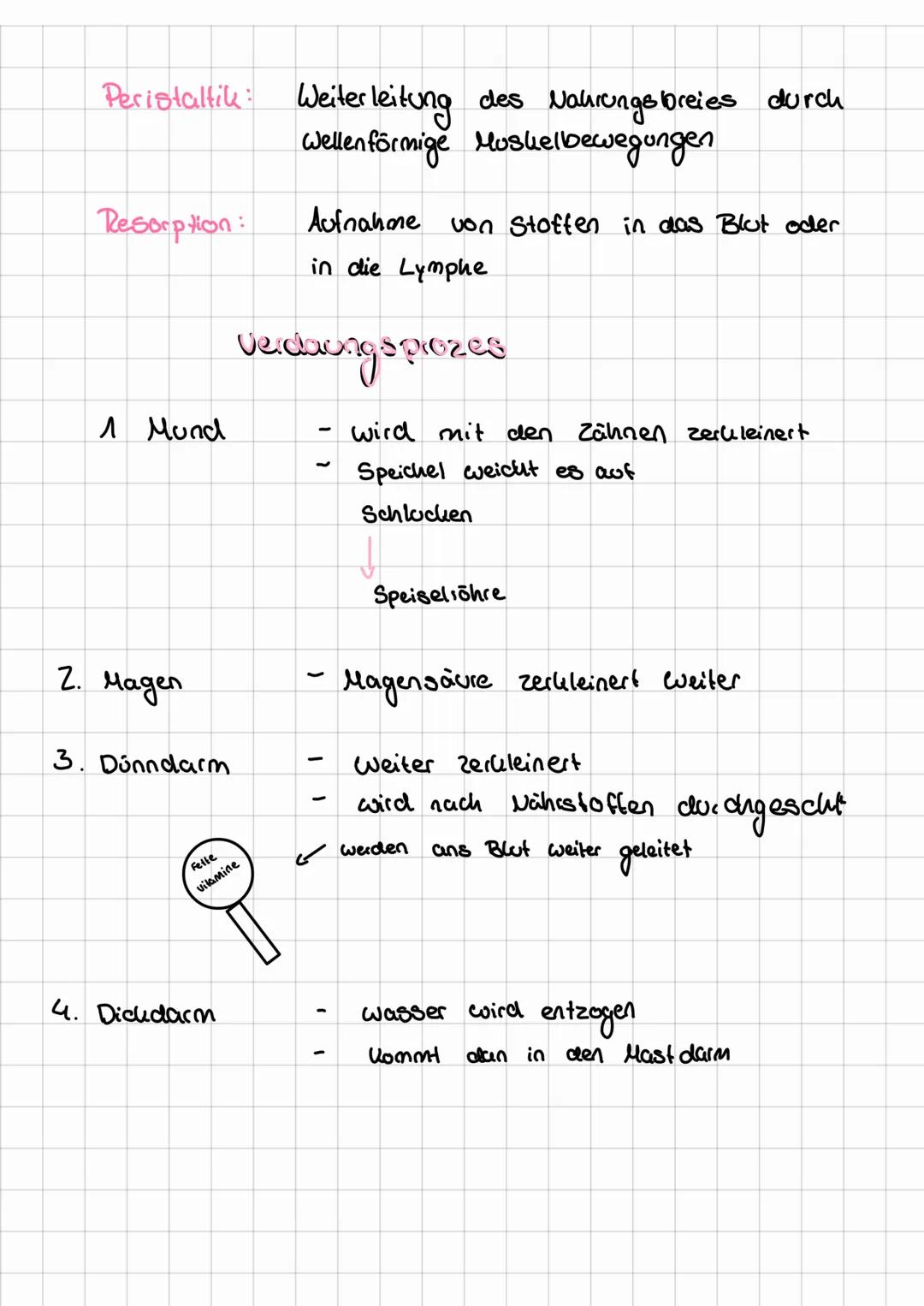Bio Test
Nährstoffe
Baustoffe = Eiweiße
= Fette,
Brennstoffe
Zusammenhang
der Nahrung
✓
Kohlenhydrate
Verdauung
Enzyme:
Verdauungsäfte:
↓
Er