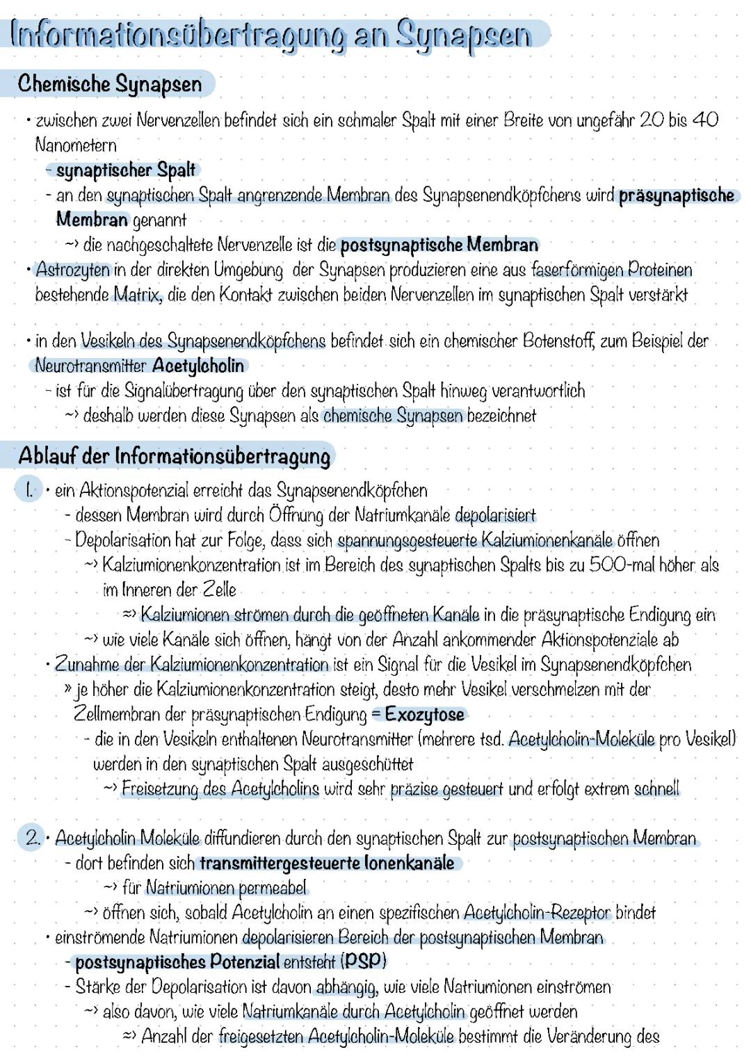 Informationübertragung an Synapsen