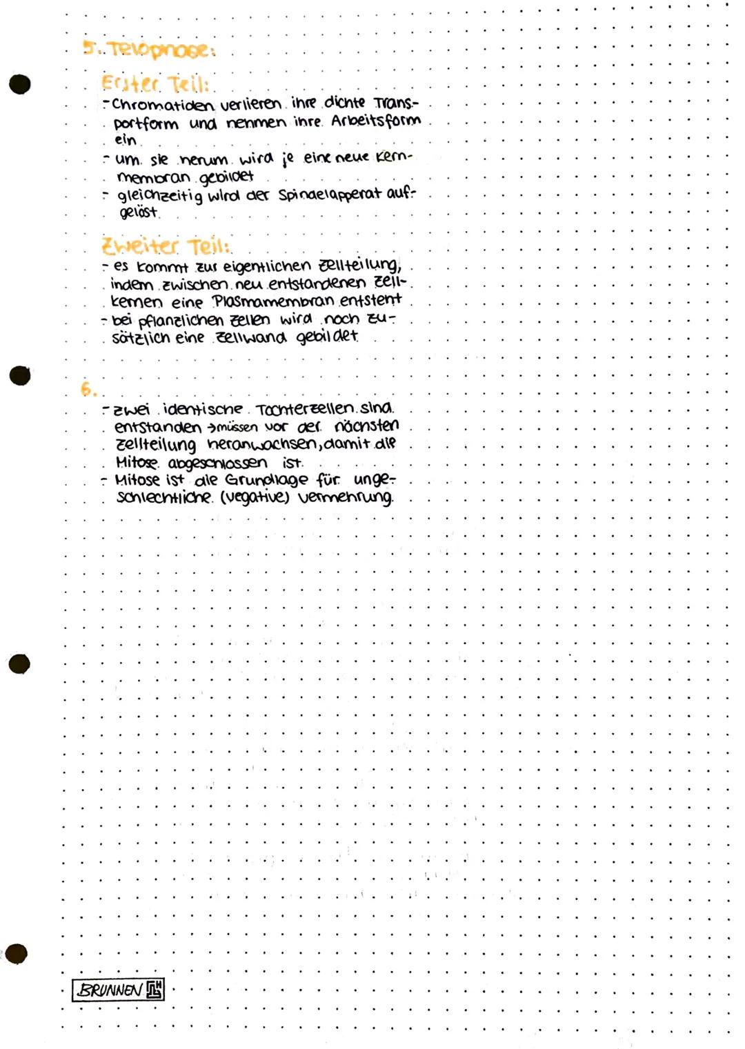 # Mitose
1.Interphase:
- Zelle teilt sich nicht
- betreibt. Stoffwechsel und wächst
-Erbgut im zellken steuert alle vorgänge
-Chromosome si