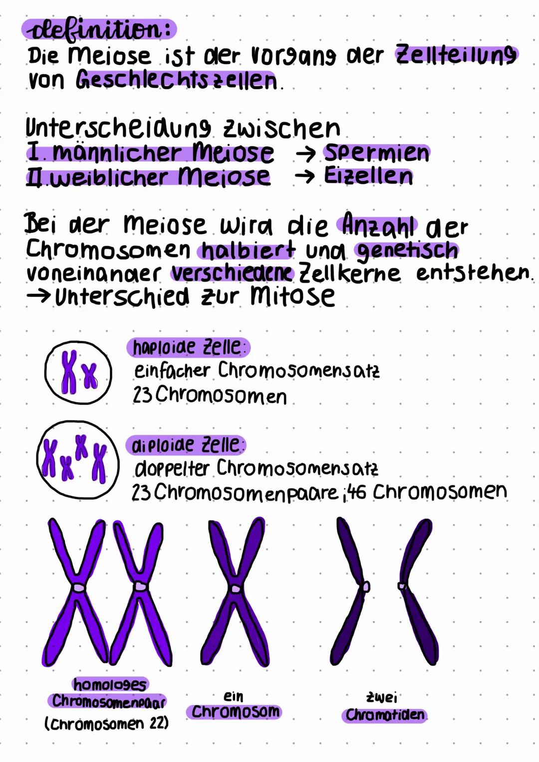 Meiose
DEFINITION, ABLAUF &
generelle übersicht
-Prophase I
Crossing-Over
Spindelapparat
Metaphase I
Äquatorialebene
- Anaphase I
- Telophas