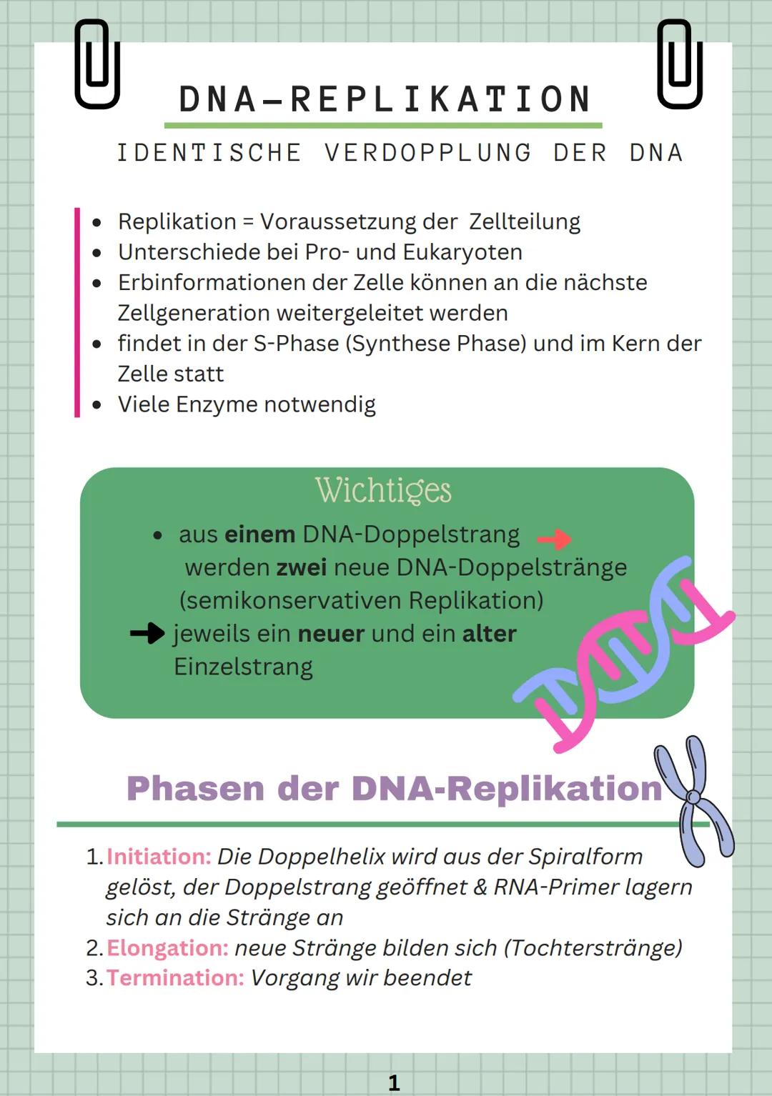 DNA Replikation