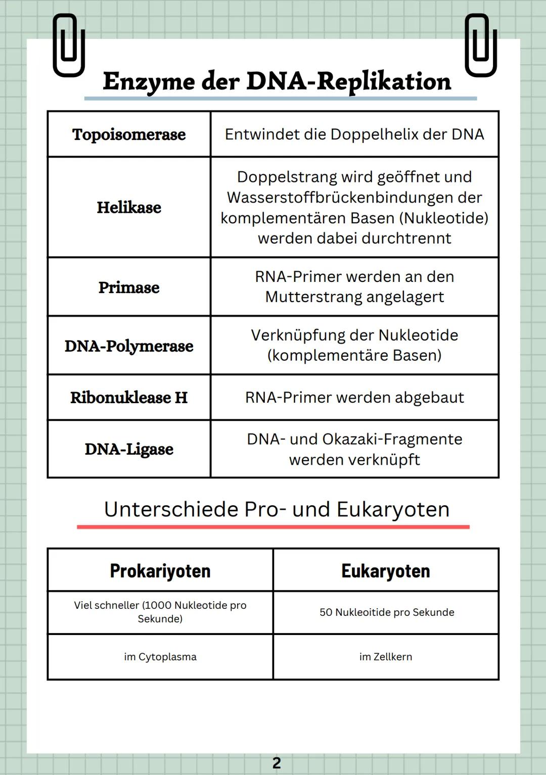 DNA-REPLIKATION
0
IDENTISCHE VERDOPPLUNG DER DNA
• Replikation = Voraussetzung der Zellteilung
• Unterschiede bei Pro- und Eukaryoten
• Erb