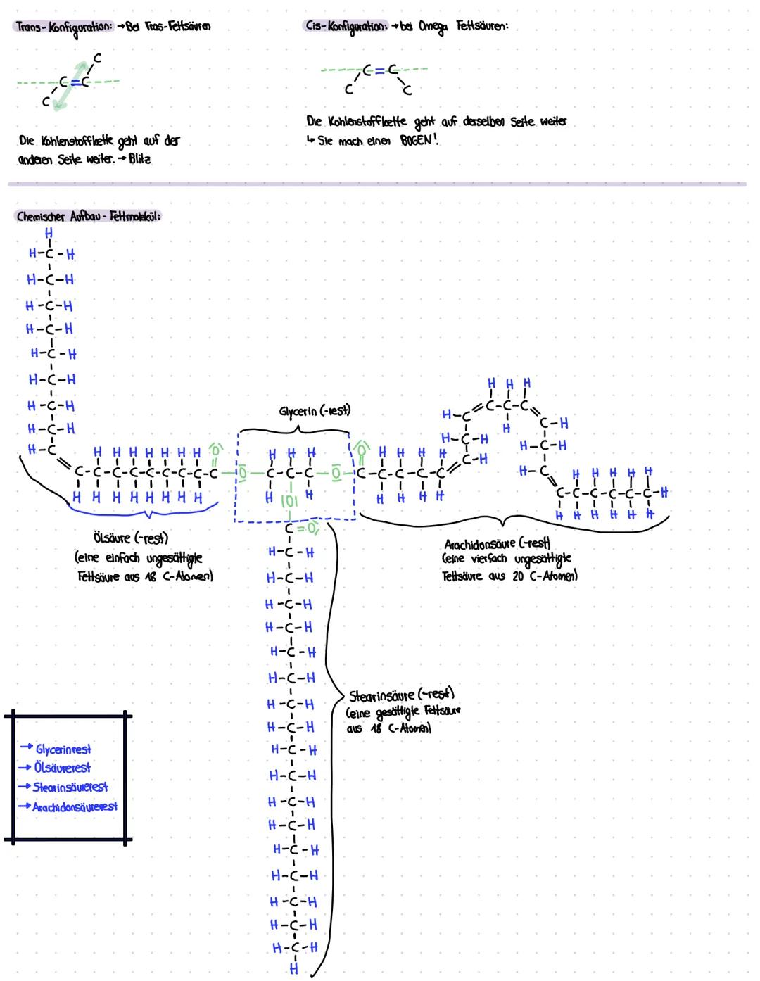 # BioChemie-Lernzettel
- Ich kann erklären oder skizzieren, was eine organische Säure bzw. eine Fettsäure ist und wie die verschiedenen Fet