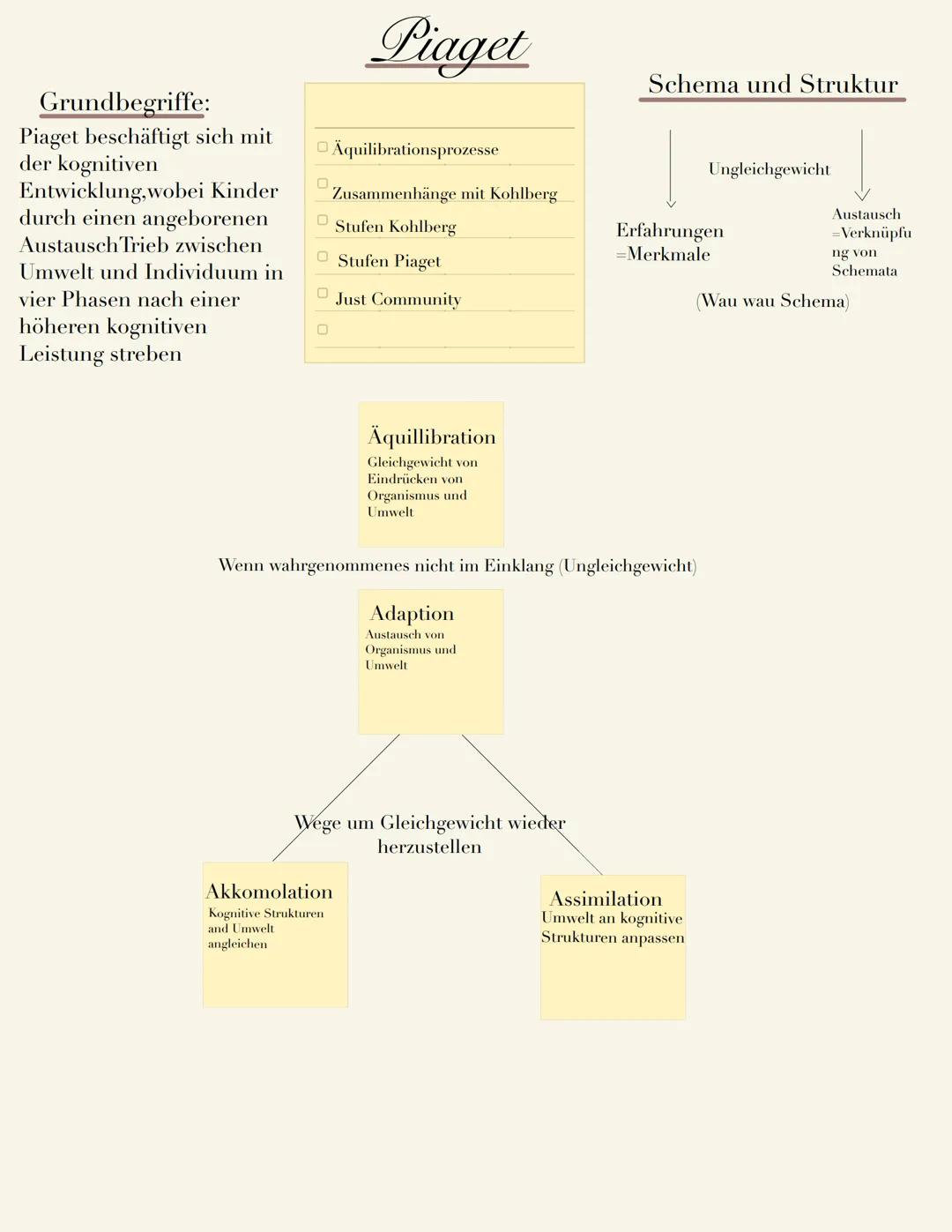 Lernzettel Jean Piaget