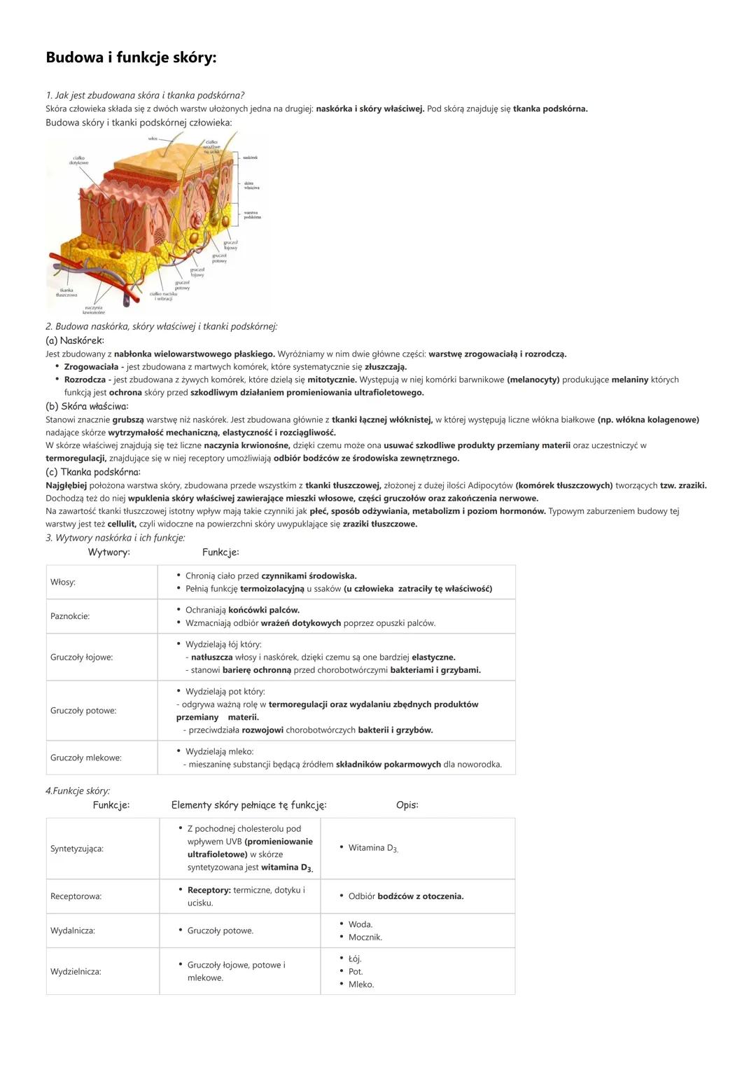# Budowa i funkcje skóry:
1. Jak jest zbudowana skóra i tkanka podskórna?
Skóra człowieka składa się z dwóch warstw ułożonych jedna na drug