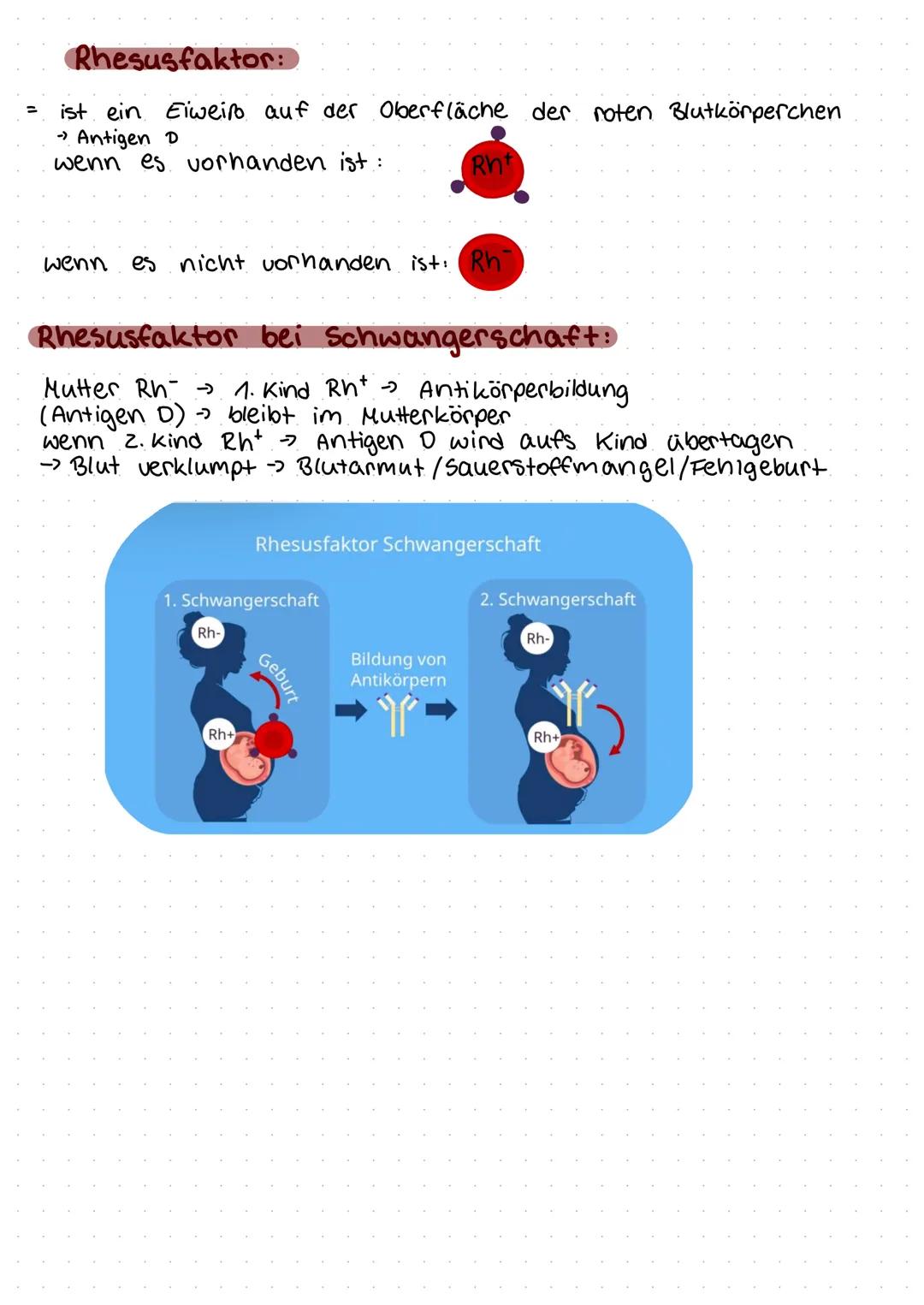 # Blutgruppen
Skizze von
roter Blutzelle
mit Antigenen
Im Blutserum
sind welche
Anti- Körper?
Das Blut der
Blutgruppe...
verklumpt mit
Bl